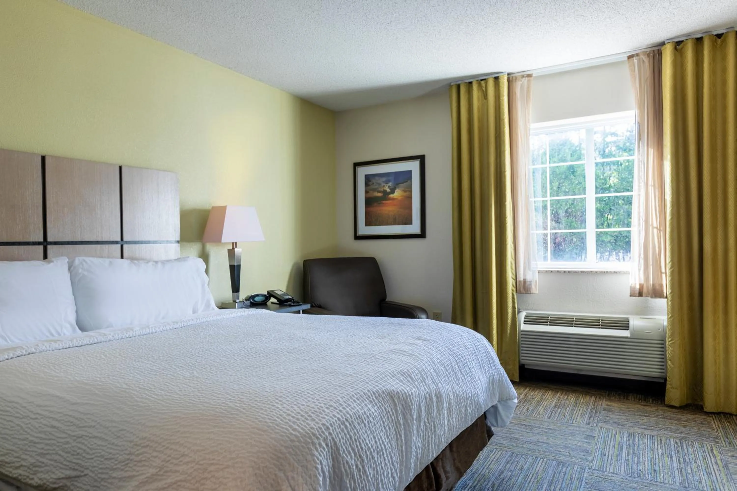 Studio Suite in Candlewood Suites Colonial Heights - Fort Lee by IHG