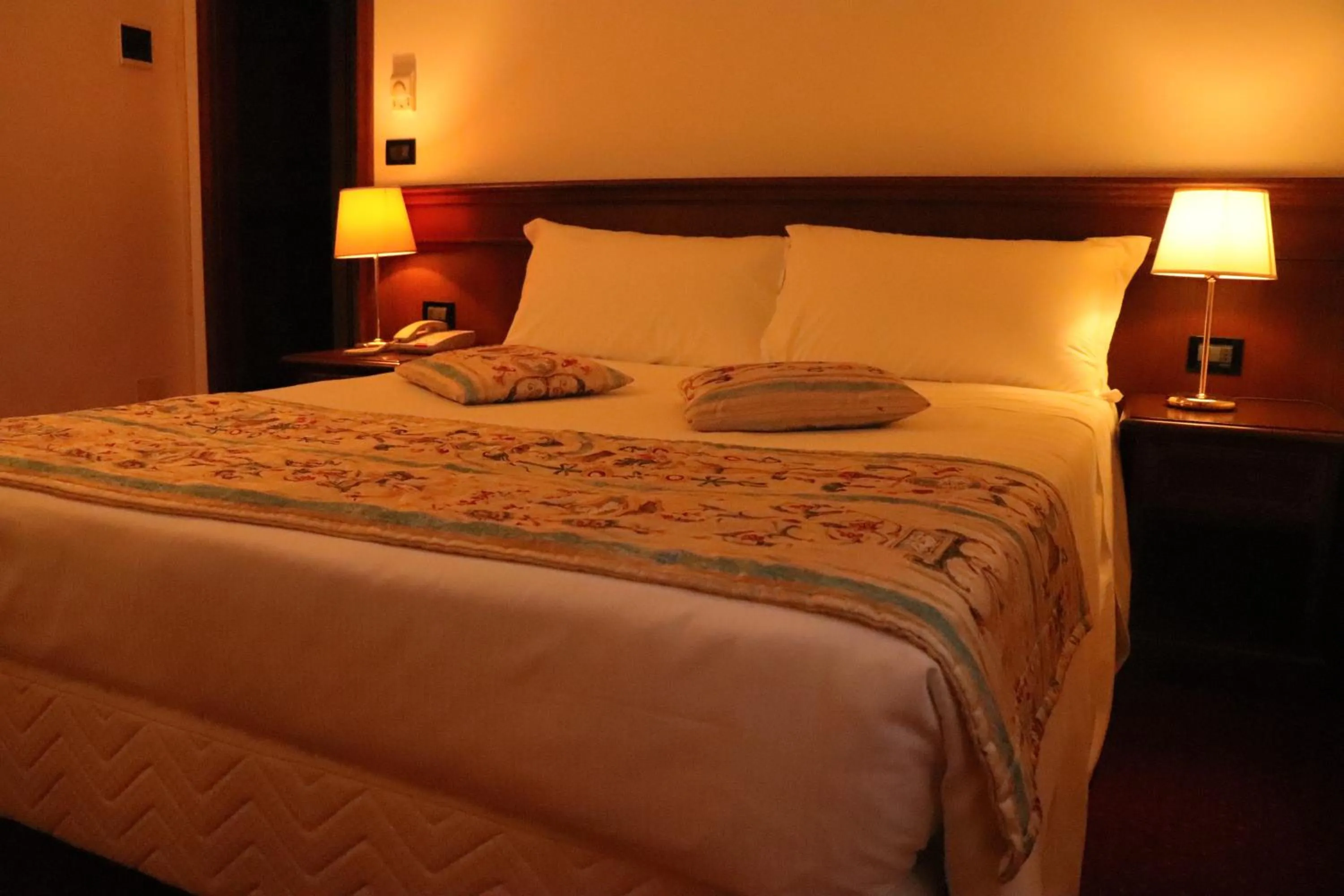 Double Room with Private Bathroom in Meditur Hotel Bologna