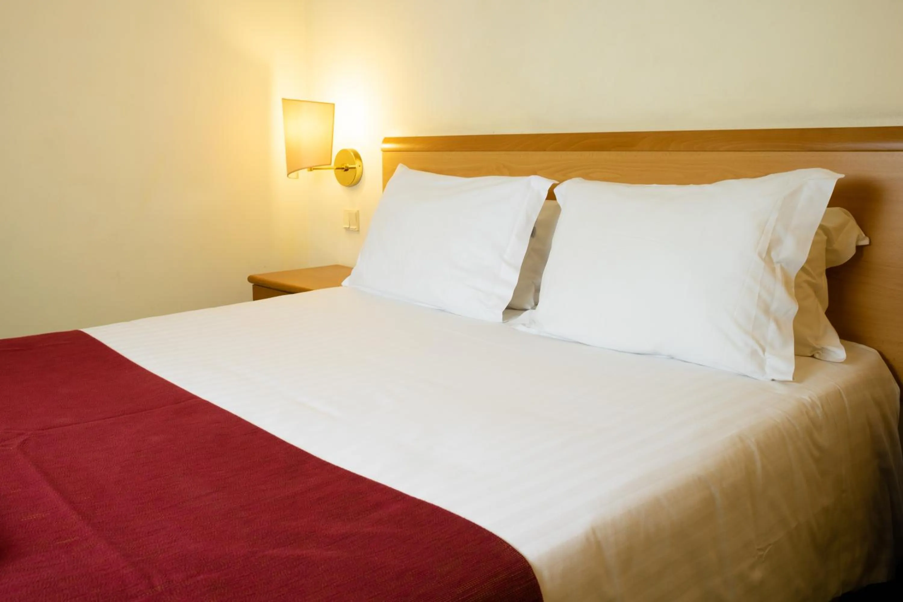 Single Room in Flag Hotel Guimarães Fafe