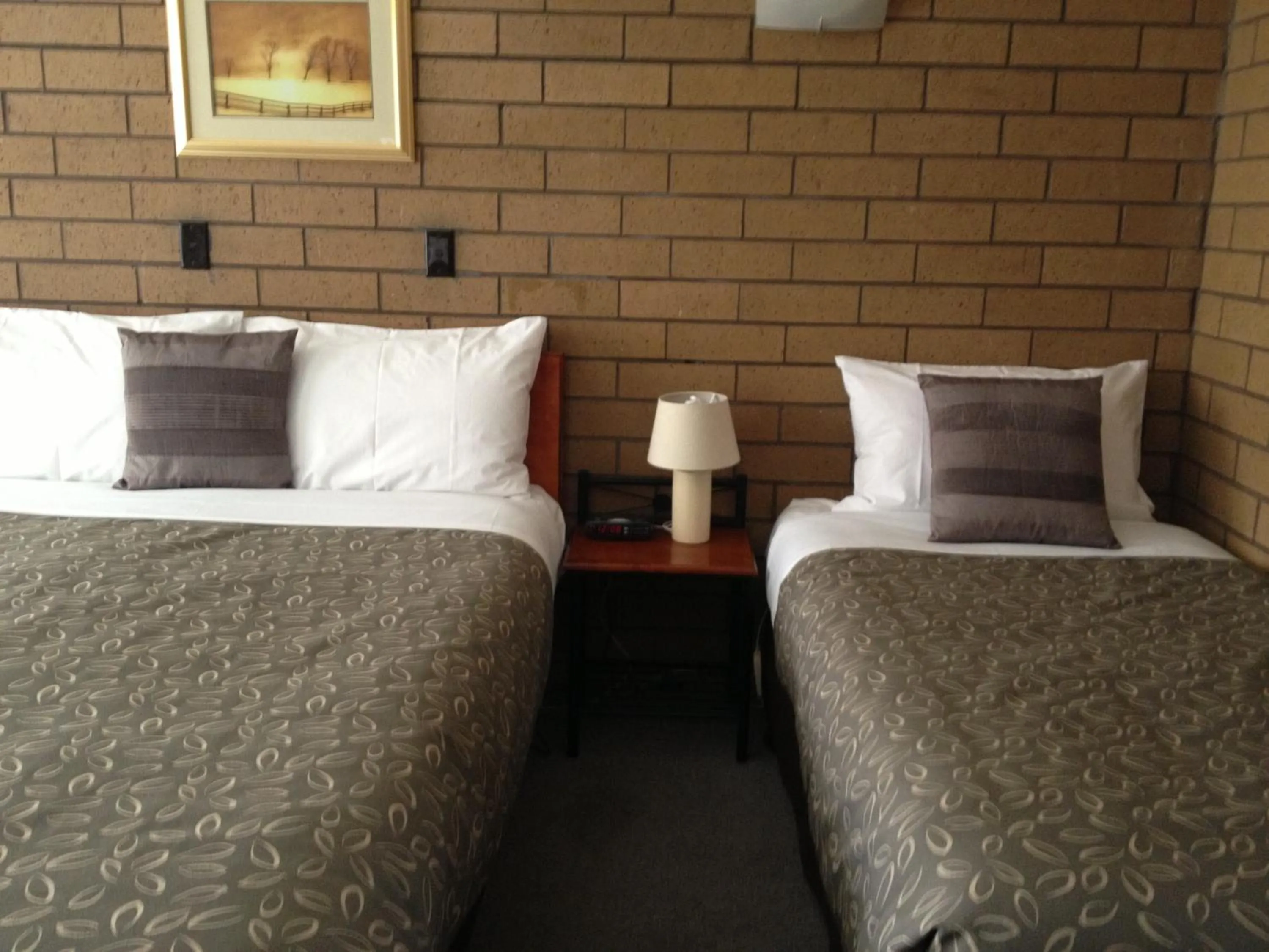 Double or Twin Room in Rippleside Park Motor Inn