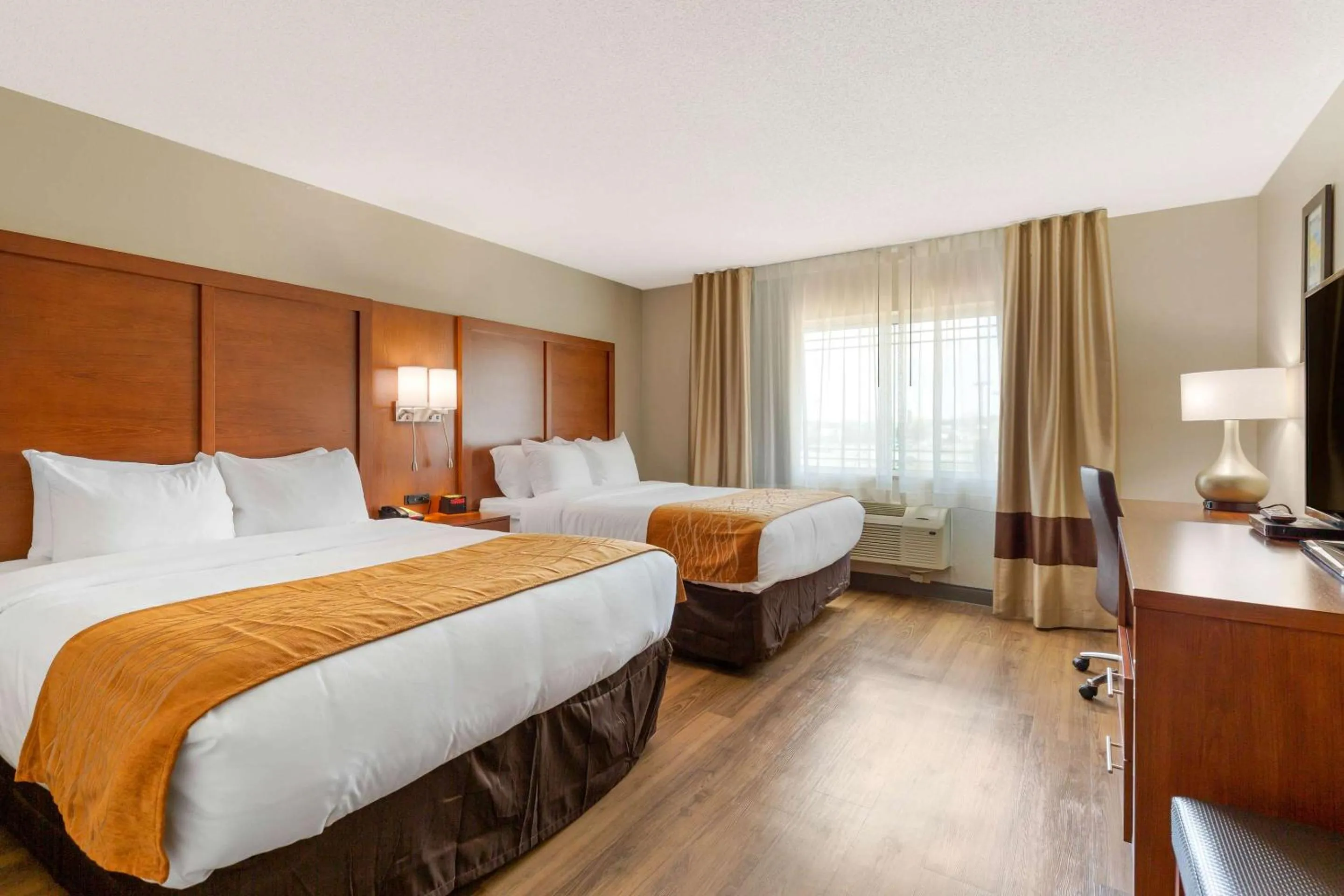 Standard Queen Room with Two Queen Beds - Non-Smoking in Comfort Inn & Suites Milford