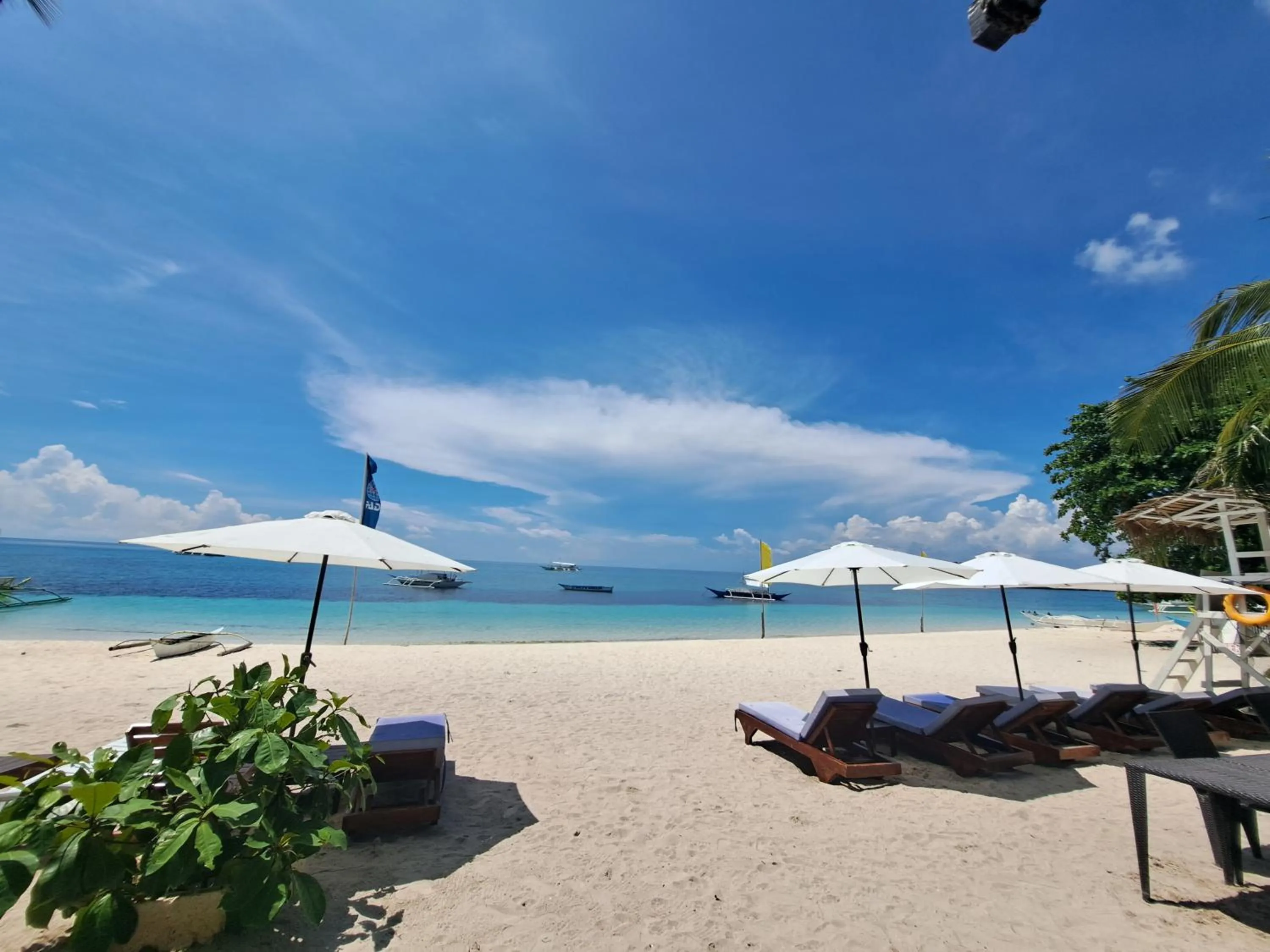 Budget Double Room in Avila's Horizon Dive Resort Malapascua