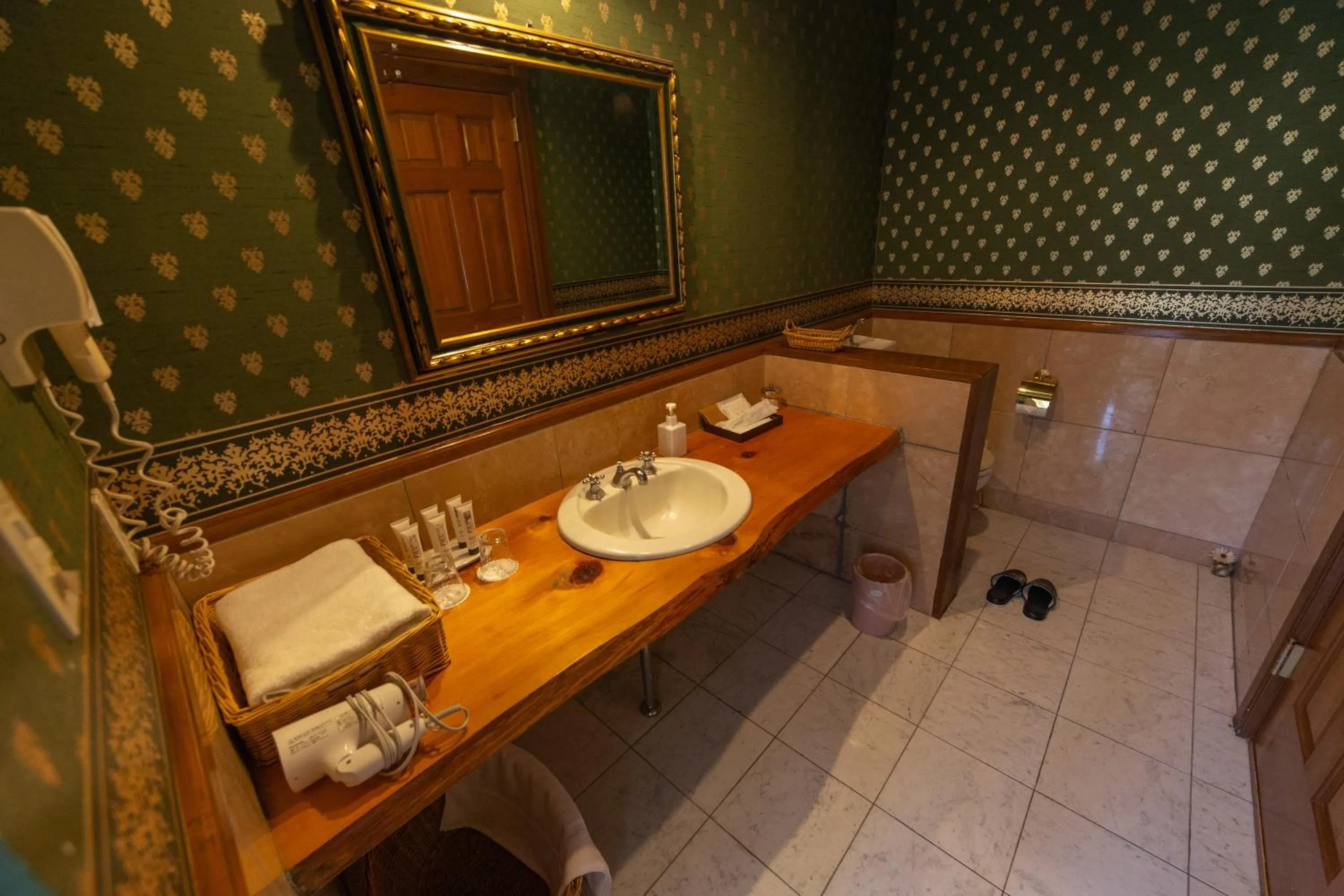 Twin Room - single occupancy - Annex (2F) in Minami Aso Luna Observatory Auberge Mori no Atelier