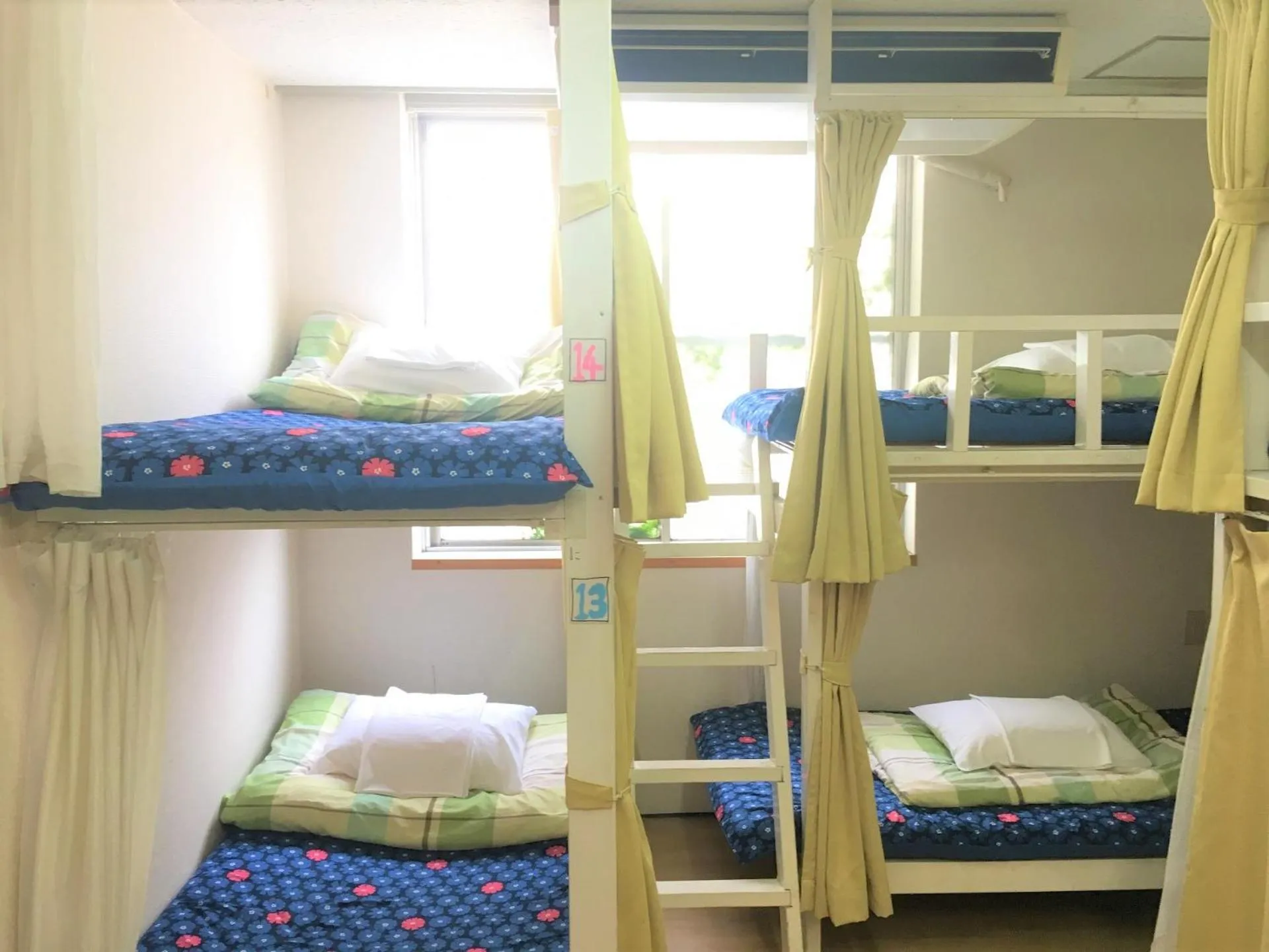 Bunk Bed in Female Dormitory Room   in Kagoshima Little Asia