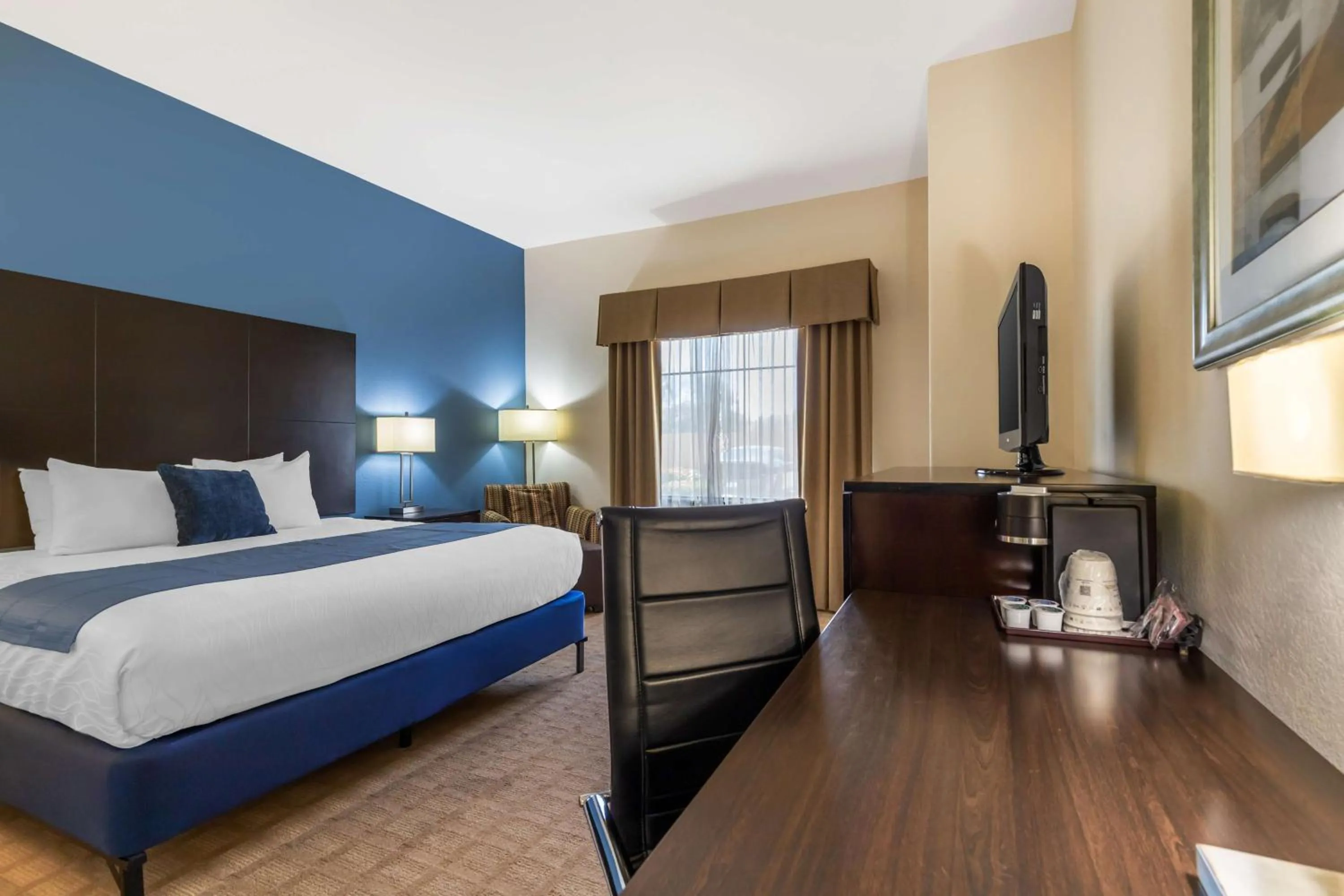 King Room with Roll-in Shower - Disability Access/Non-Smoking in Best Western Plus Lytle Inn and Suites
