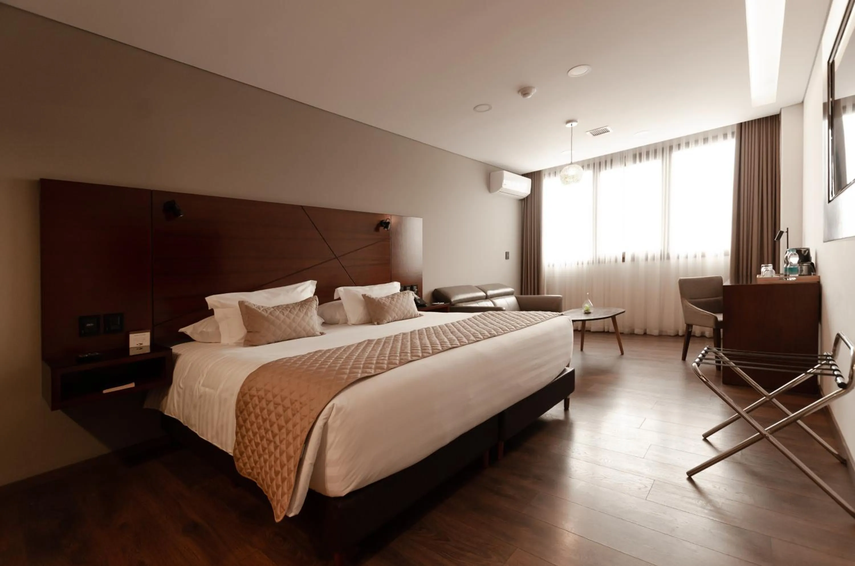 Deluxe King Room - single occupancy in Hotel Mitru Sur