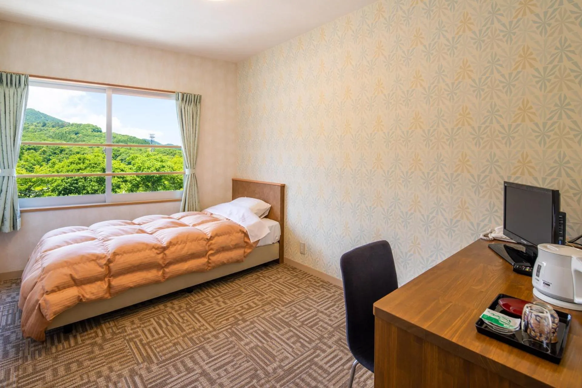 Single Room in Stay View Ikaho