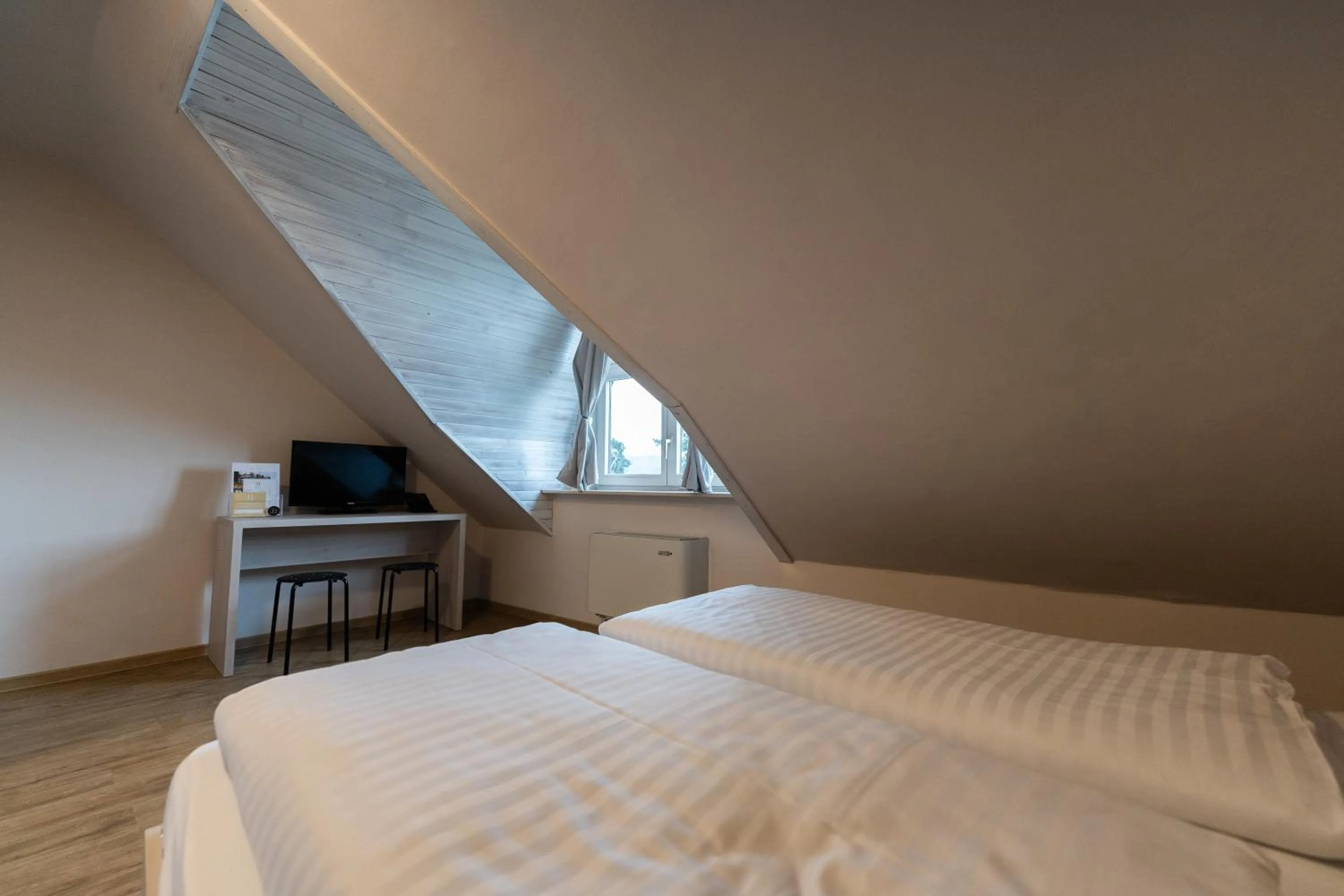 Double or Twin Room with City View in Hotel Arena Maribor
