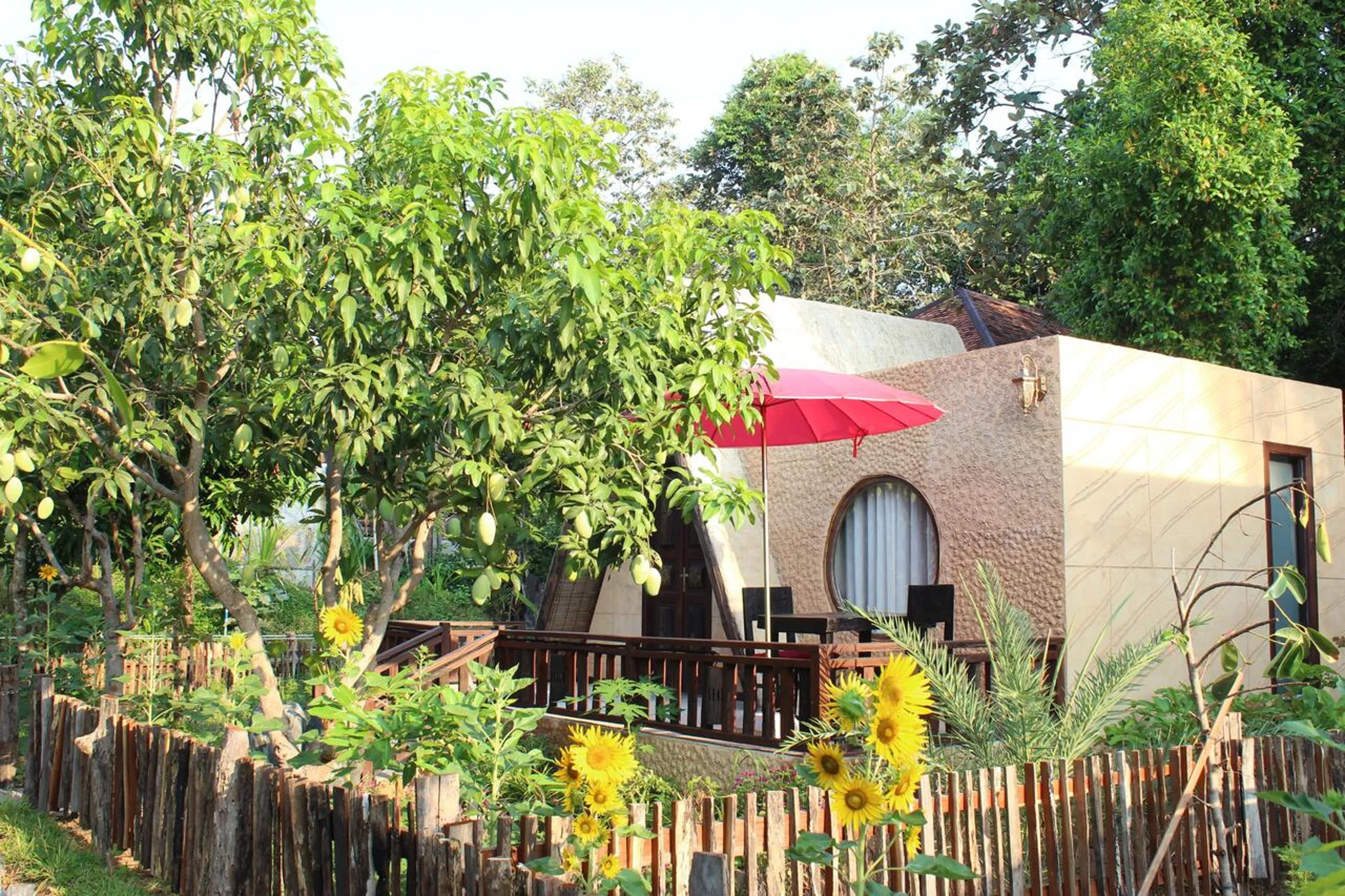 Deluxe Room - single occupancy in Bong Thom Forest Lodge