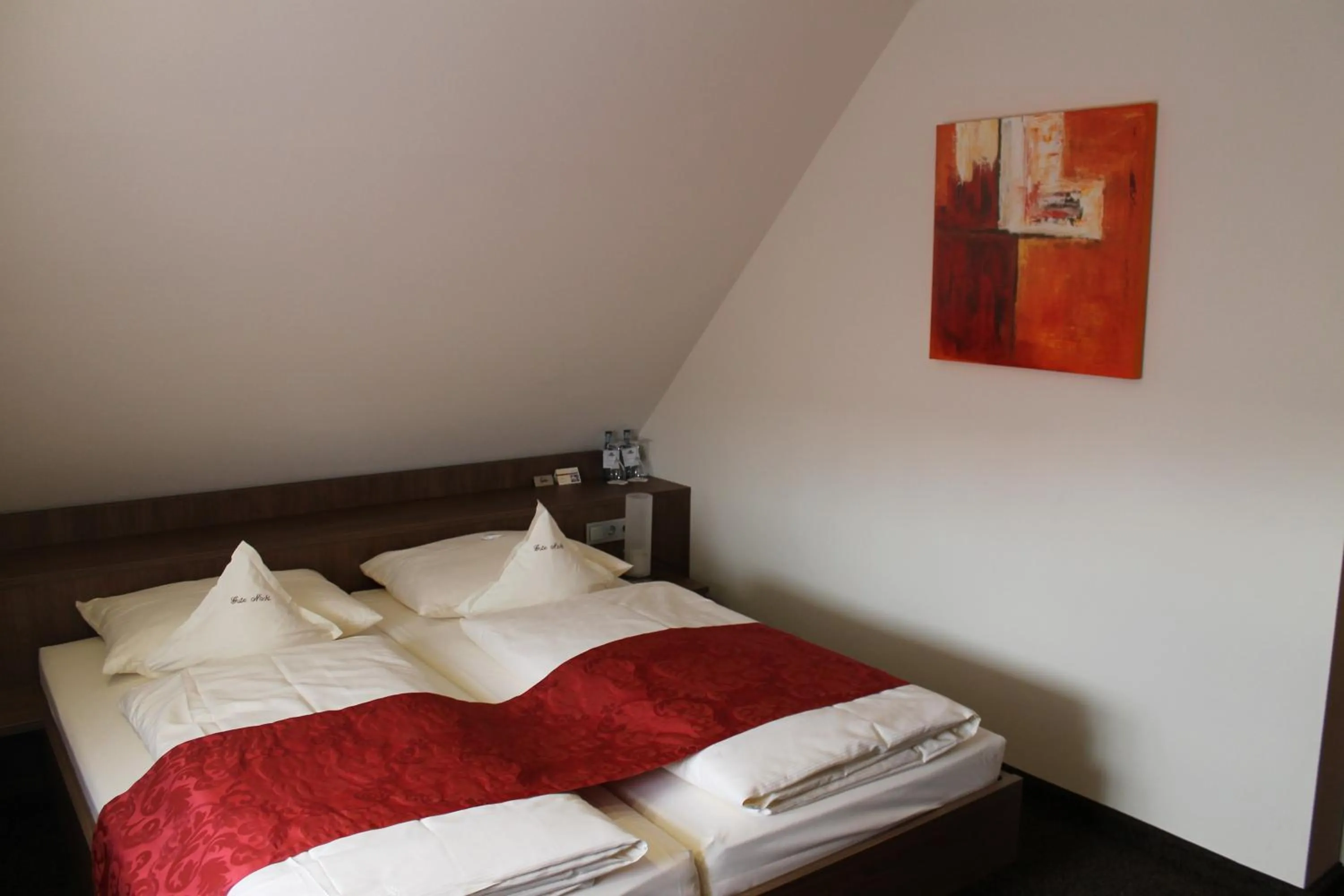 Double Room in Hotel Schwanen