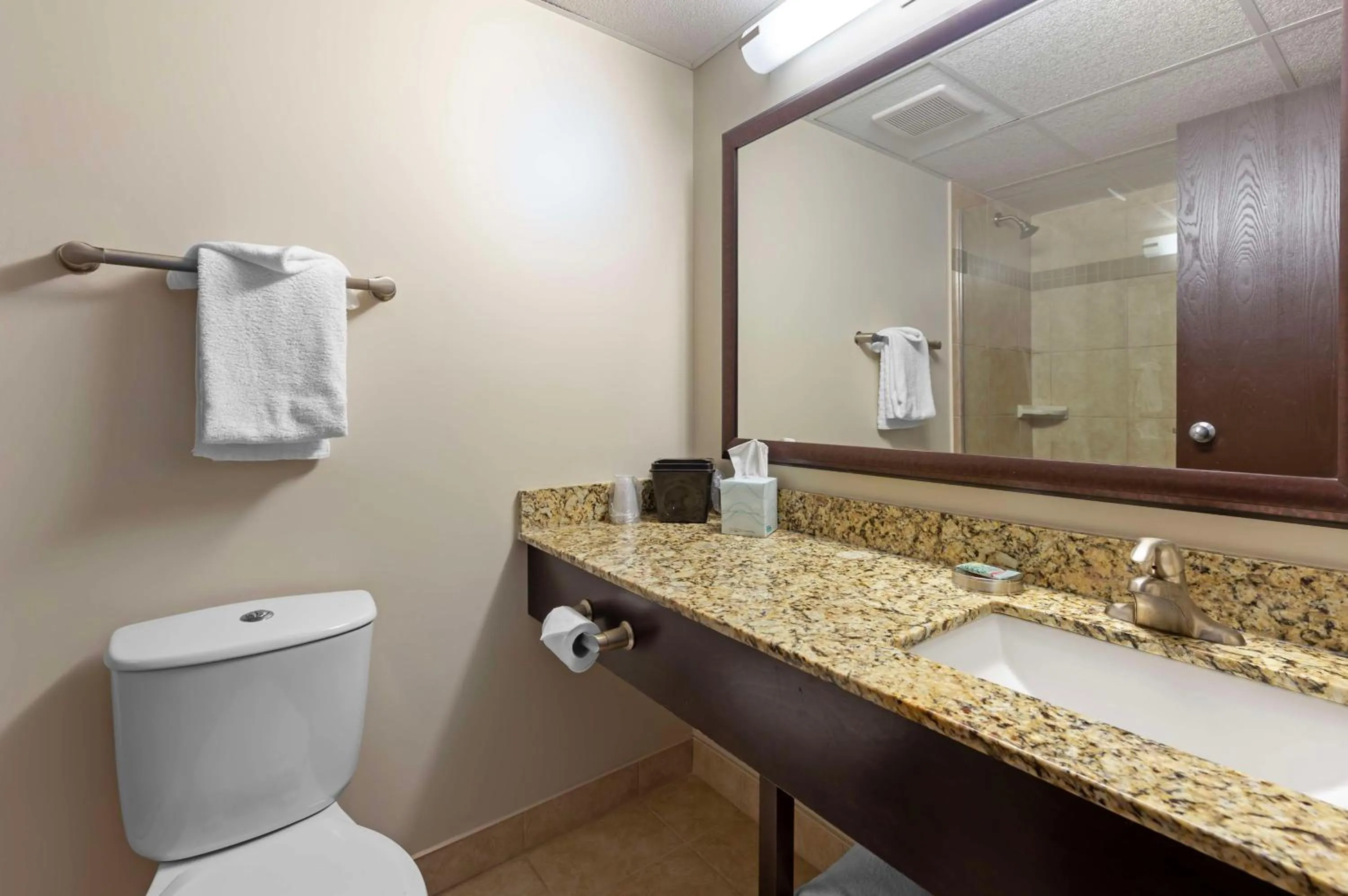 Queen Room with Sofa Bed - Non-Smoking in Best Western Pembroke Inn & Conference Centre