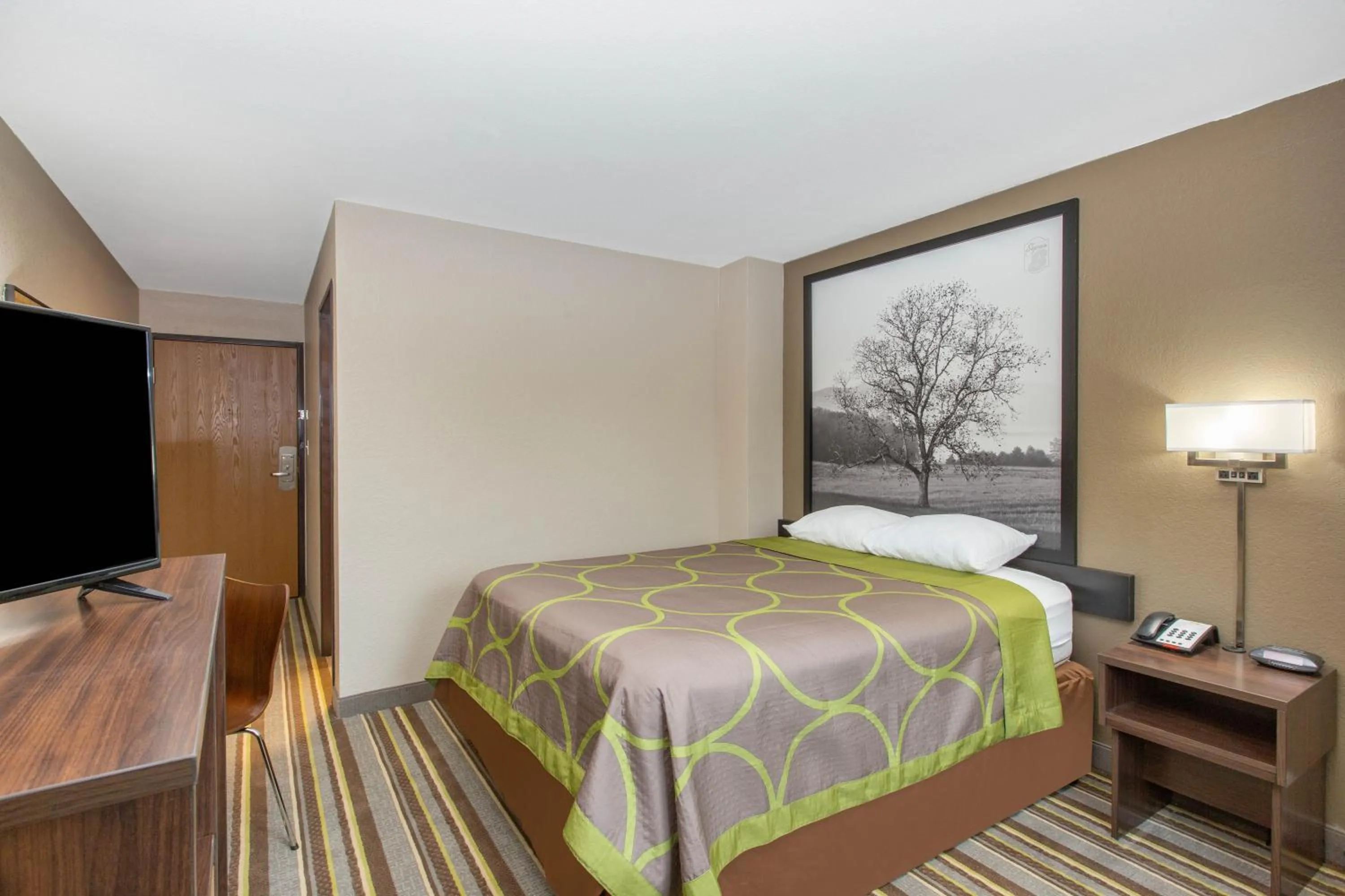 Queen Room - Disability Access/Non-Smoking in Super 8 by Wyndham Chattanooga Lookout Mountain TN
