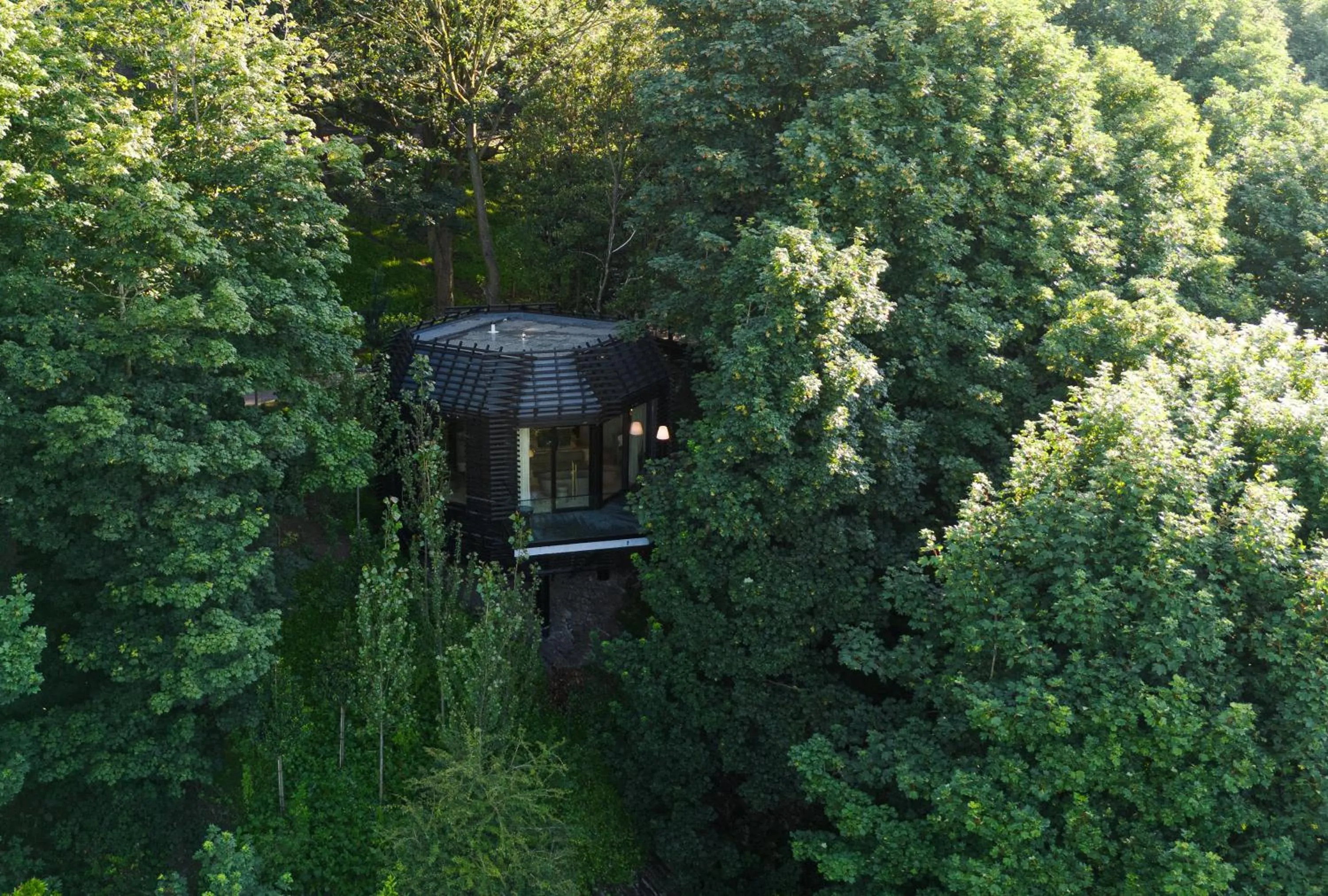 The Woodland Suite in The Montenotte Hotel