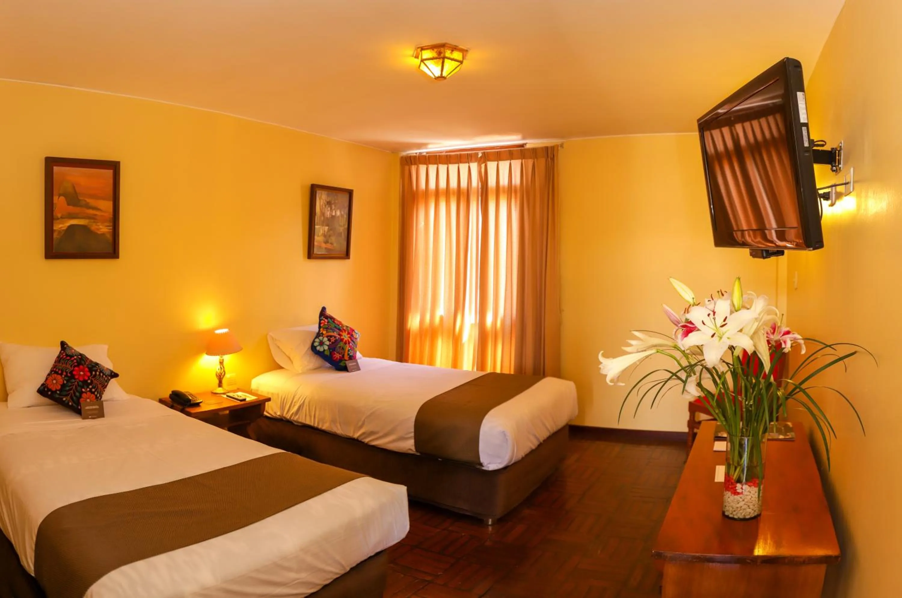 Twin Room in DM Hoteles Ayacucho