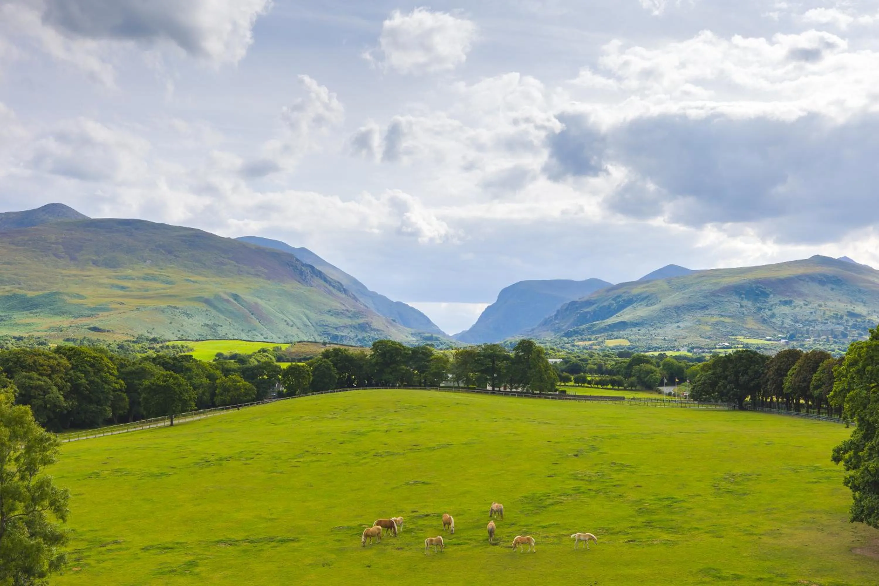 Superior Twin Room with Gap View - single occupancy in The Dunloe Hotel & Gardens