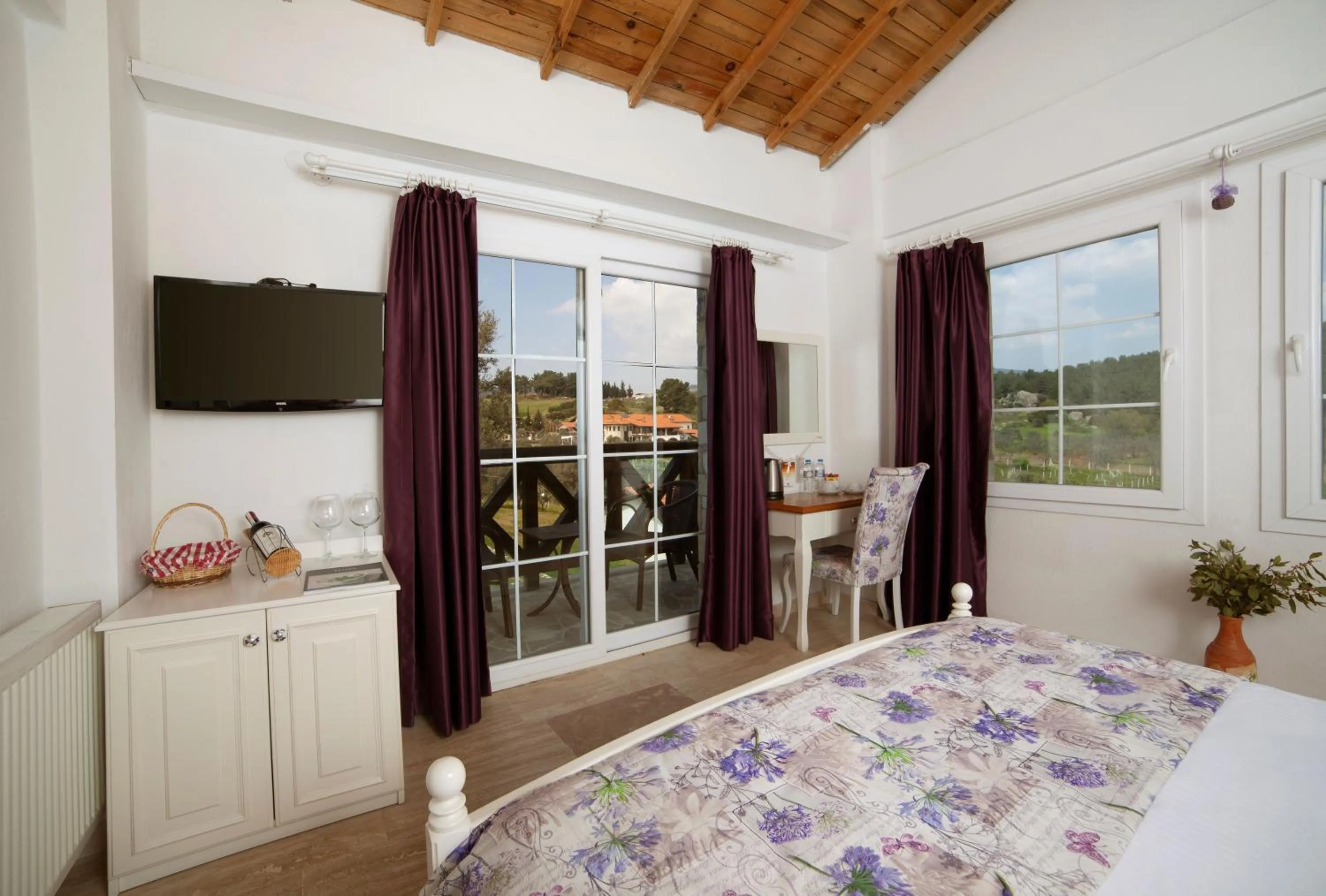 Deluxe Room in VINIFERA VINEYARDS HOTEL