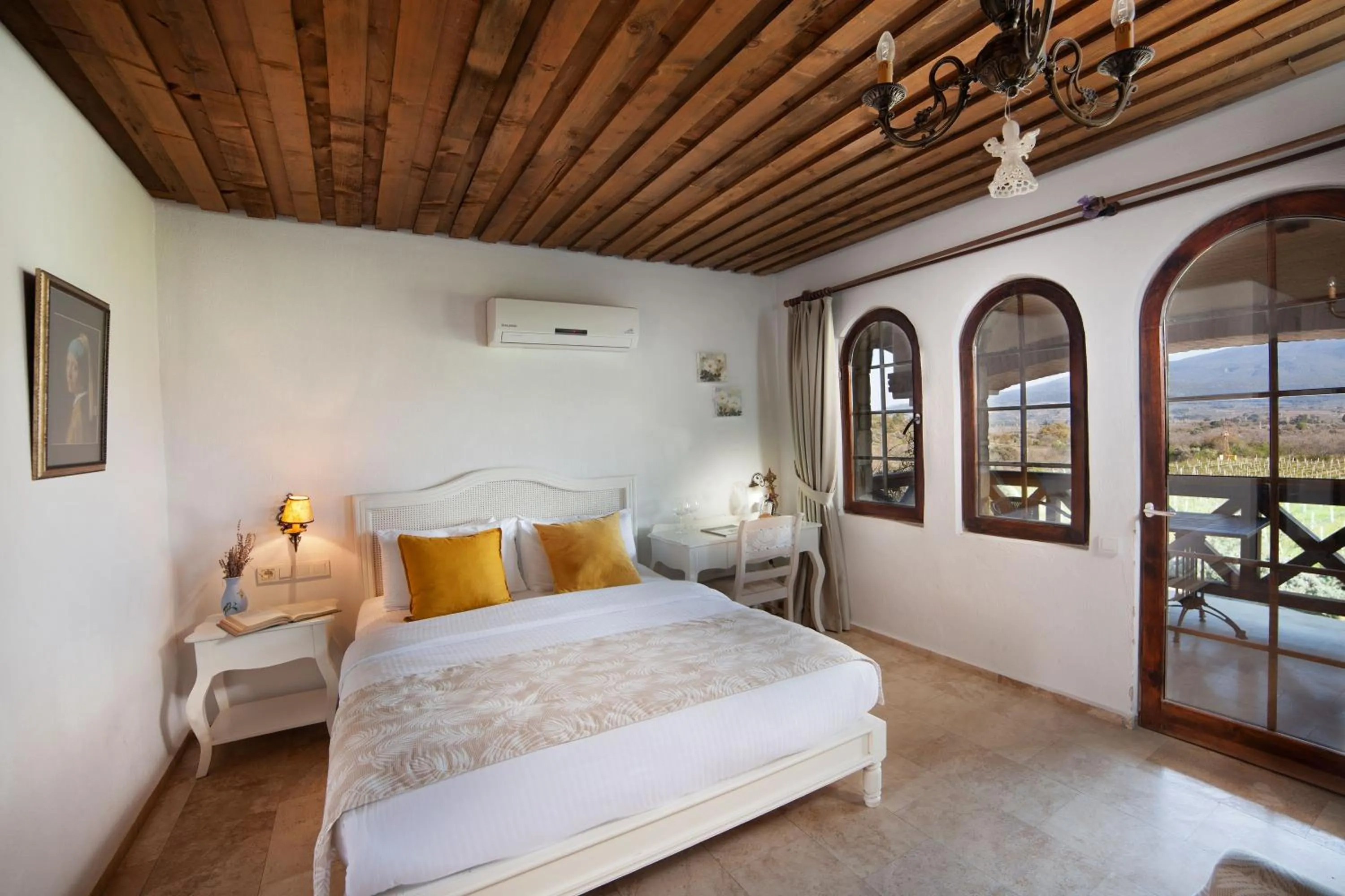 Economy Double Room in VINIFERA VINEYARDS HOTEL