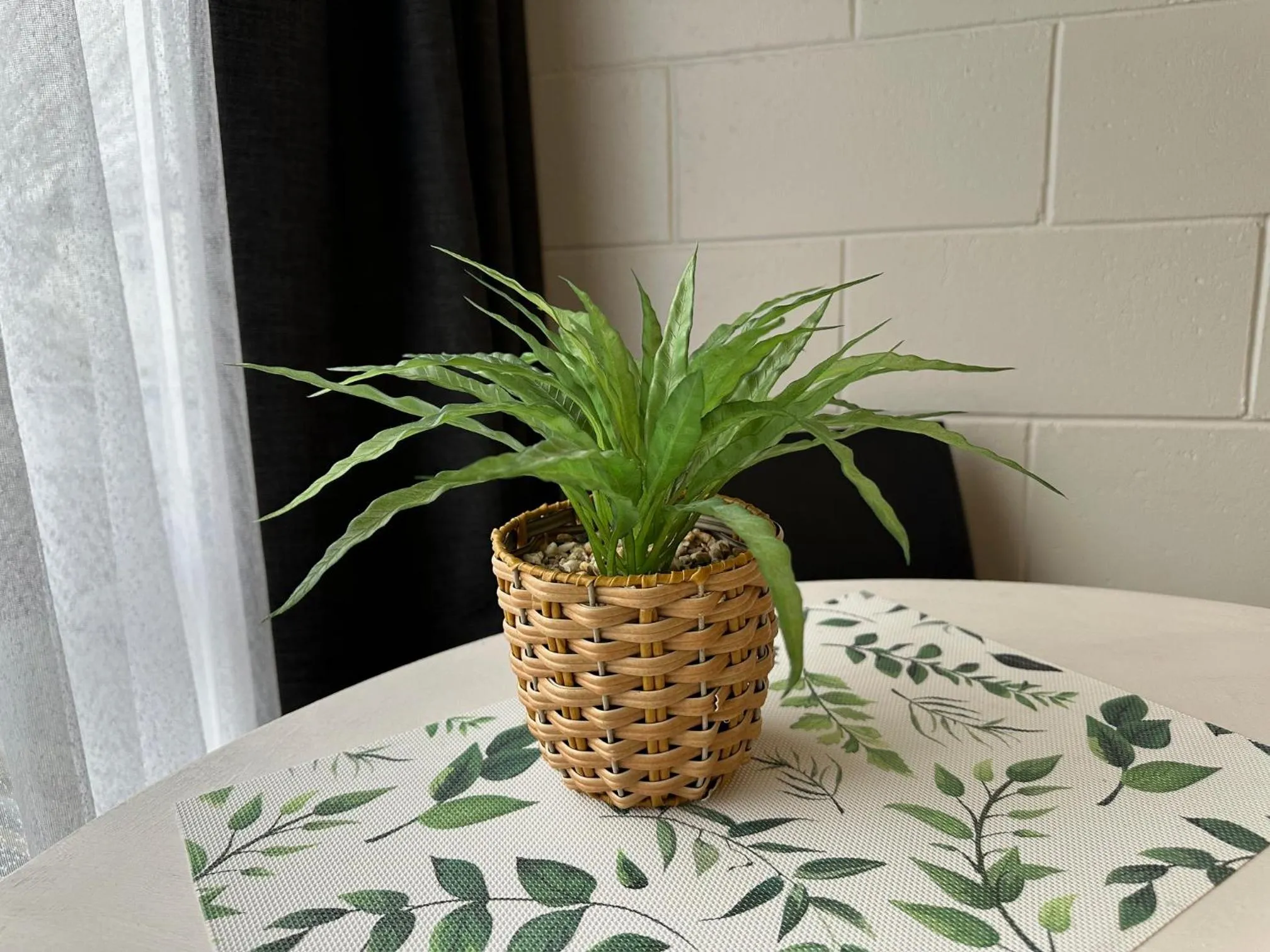 Twin Studio in Anderson Park Motel