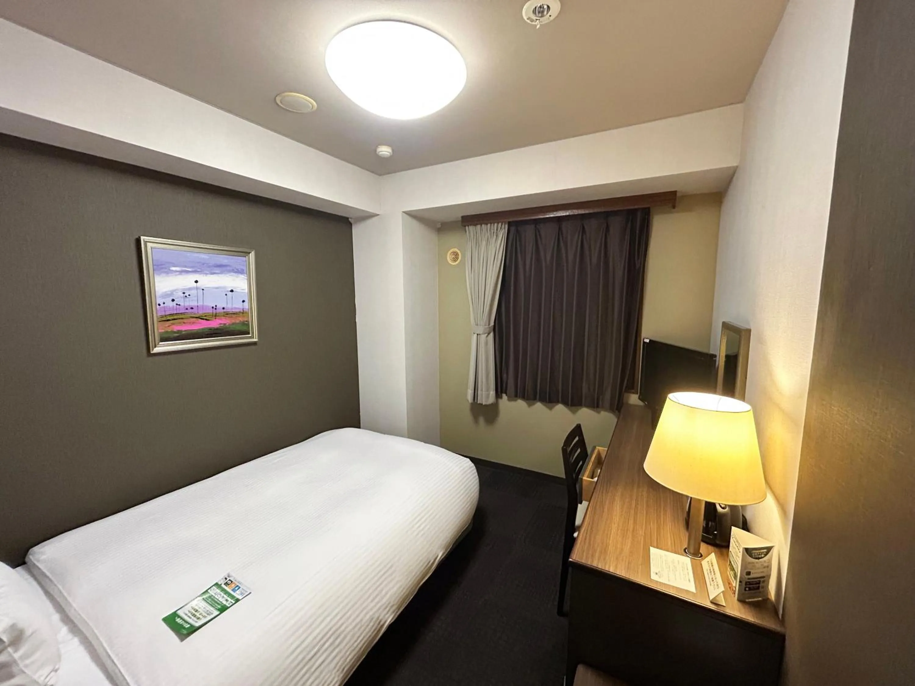 Single Room - single occupancy - Smoking in Hotel Route-Inn Itoigawa