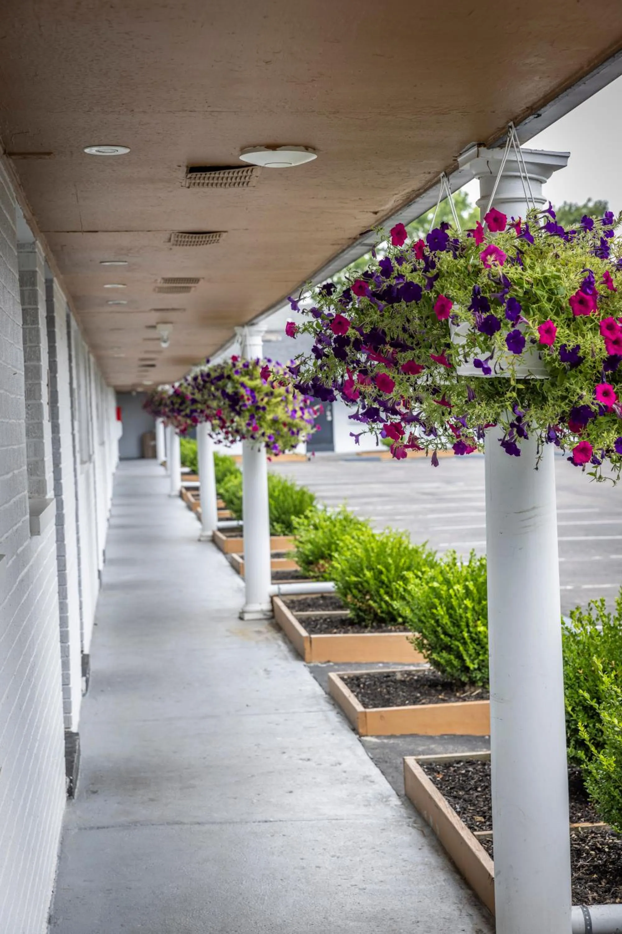 King Room in Butler Inn