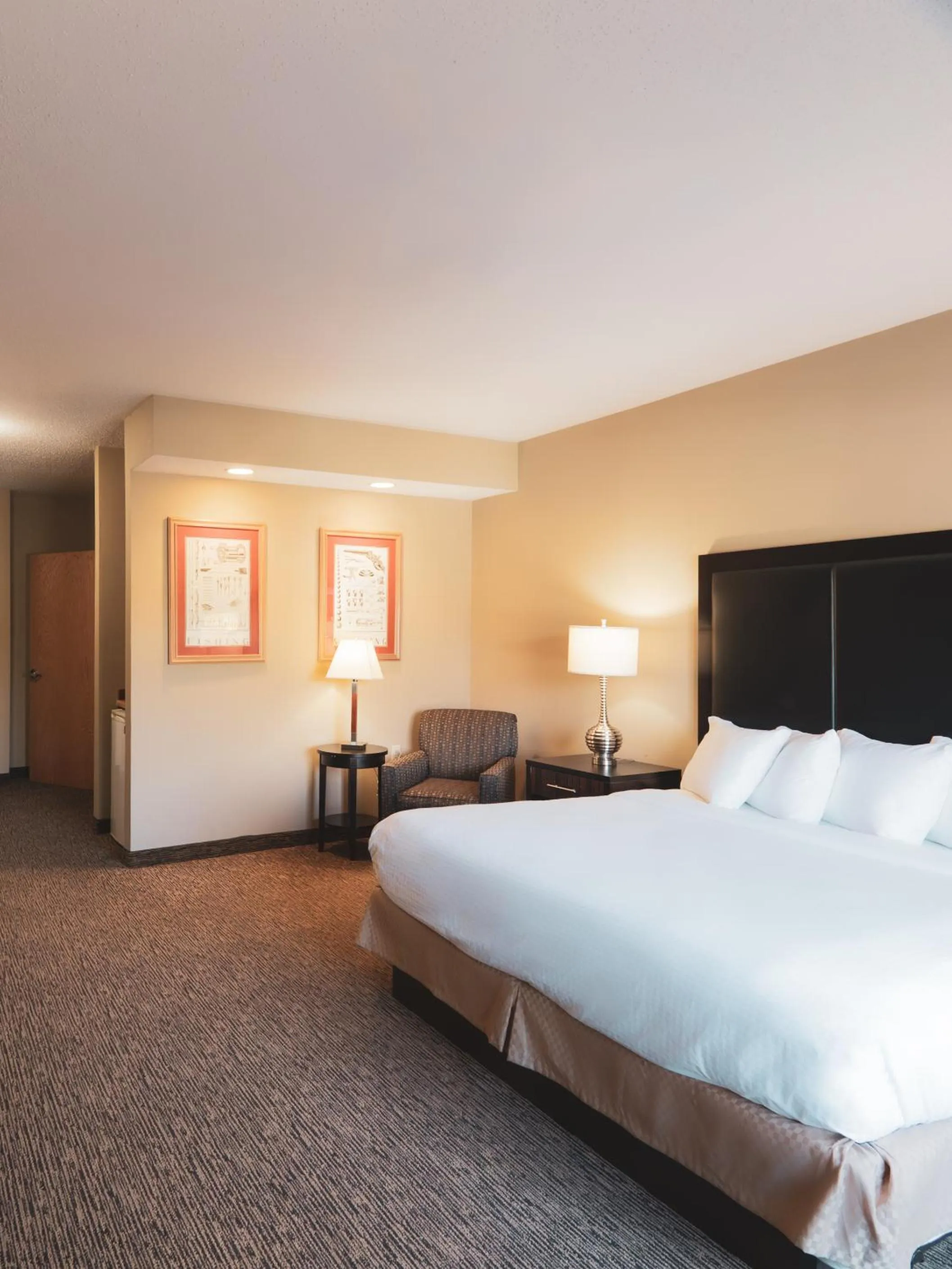 Single Room - single occupancy - Disability Access in Wildwood Lodge