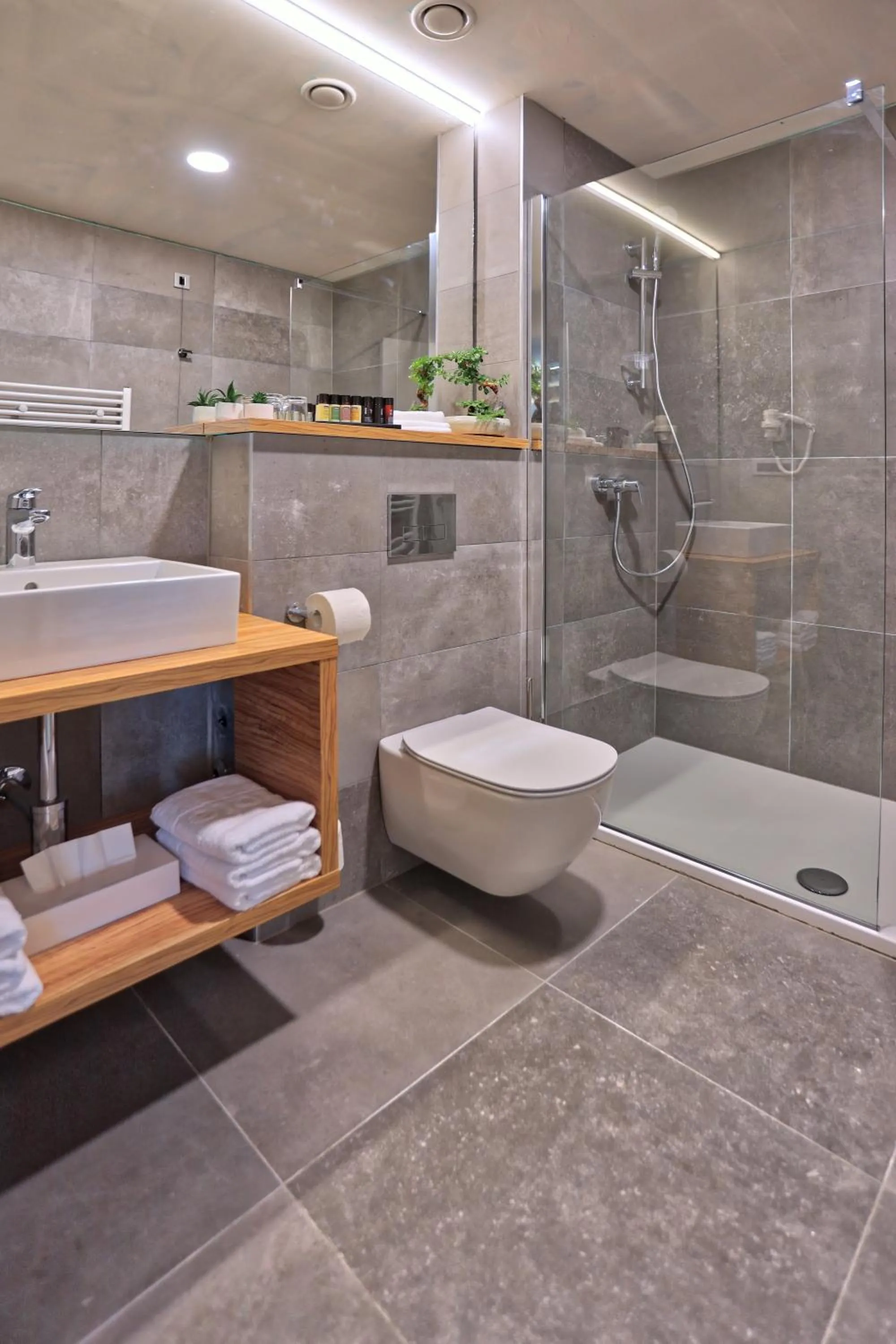 Deluxe Double Room with Balcony and  Mountain View in Hotel Olea