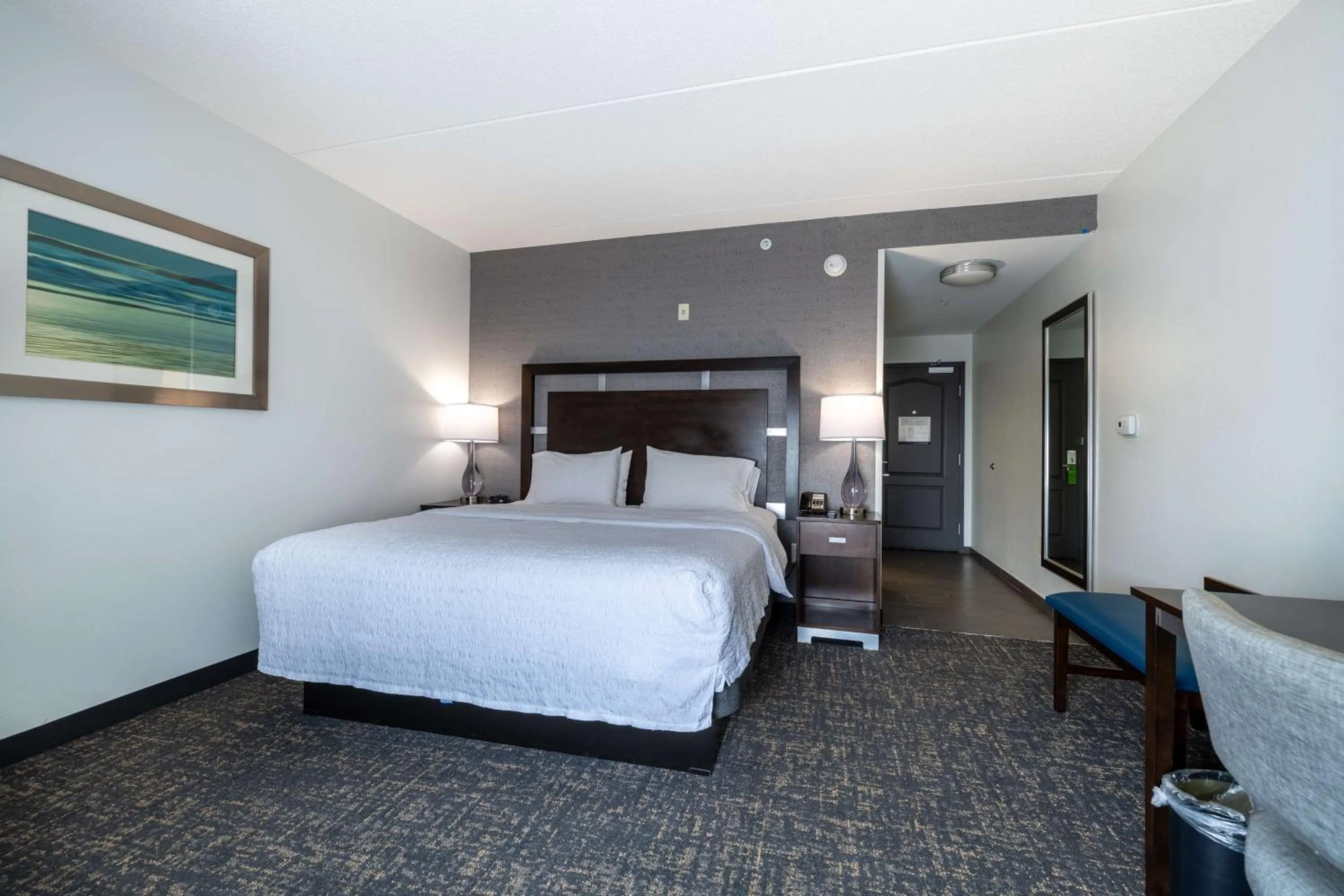 King Room with King Bed - Non-Smoking in Hampton Inn & Suites Greensboro/Coliseum Area