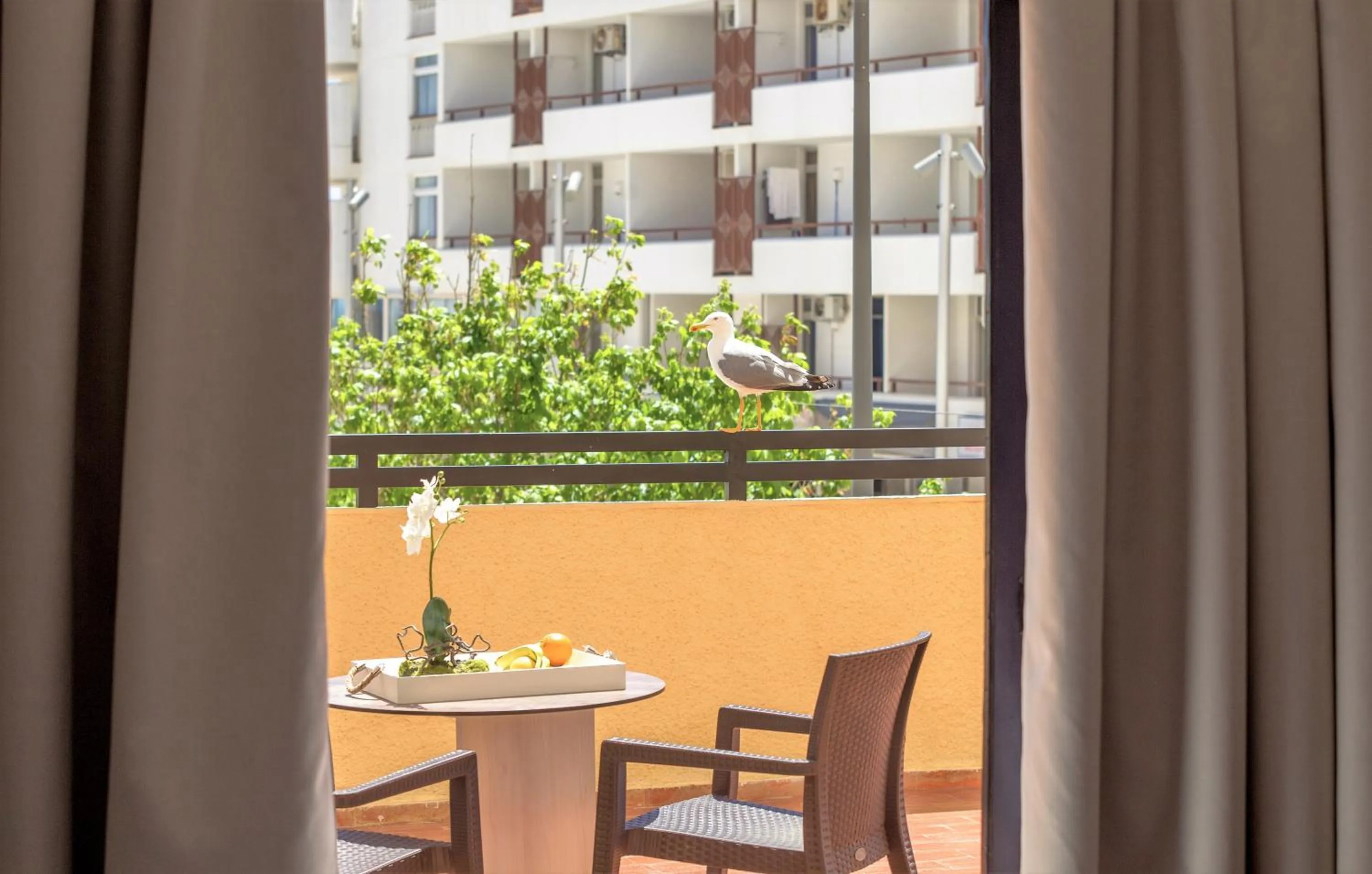 Two-Bedroom Apartment with Sea View in Turial Old Town Ocean View