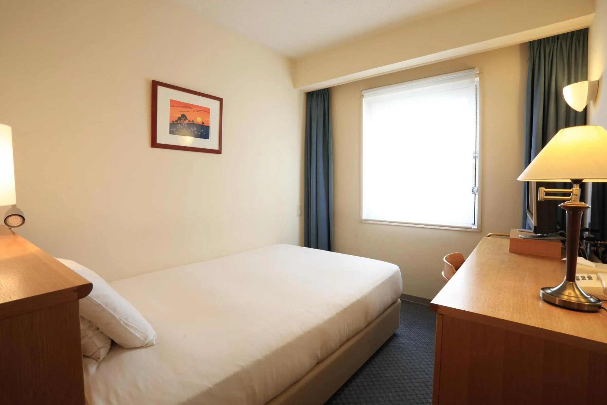 Single Room - Smoking in Smile Hotel Tomakomai