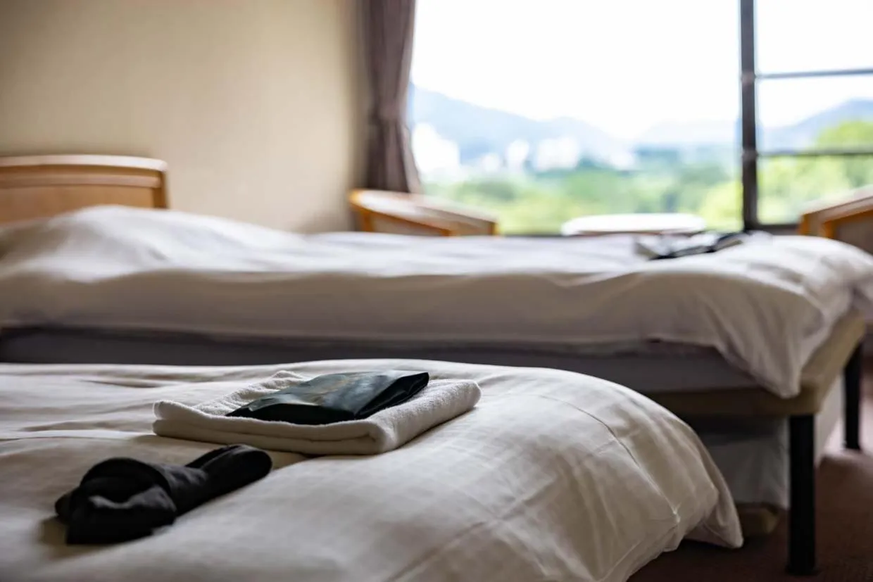 Twin Room - single occupancy in Hotel Park