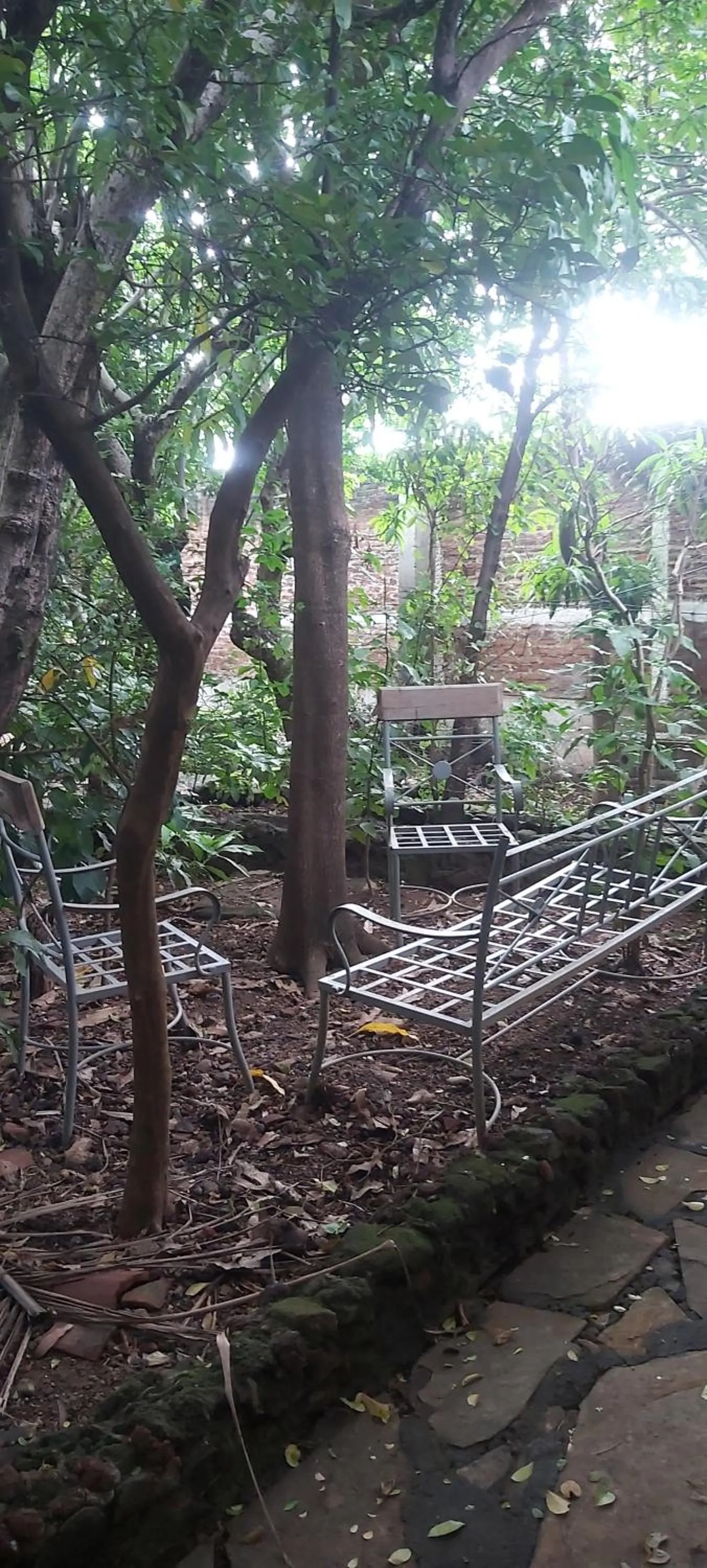 Twin Room in Hotel Casa Barcelona