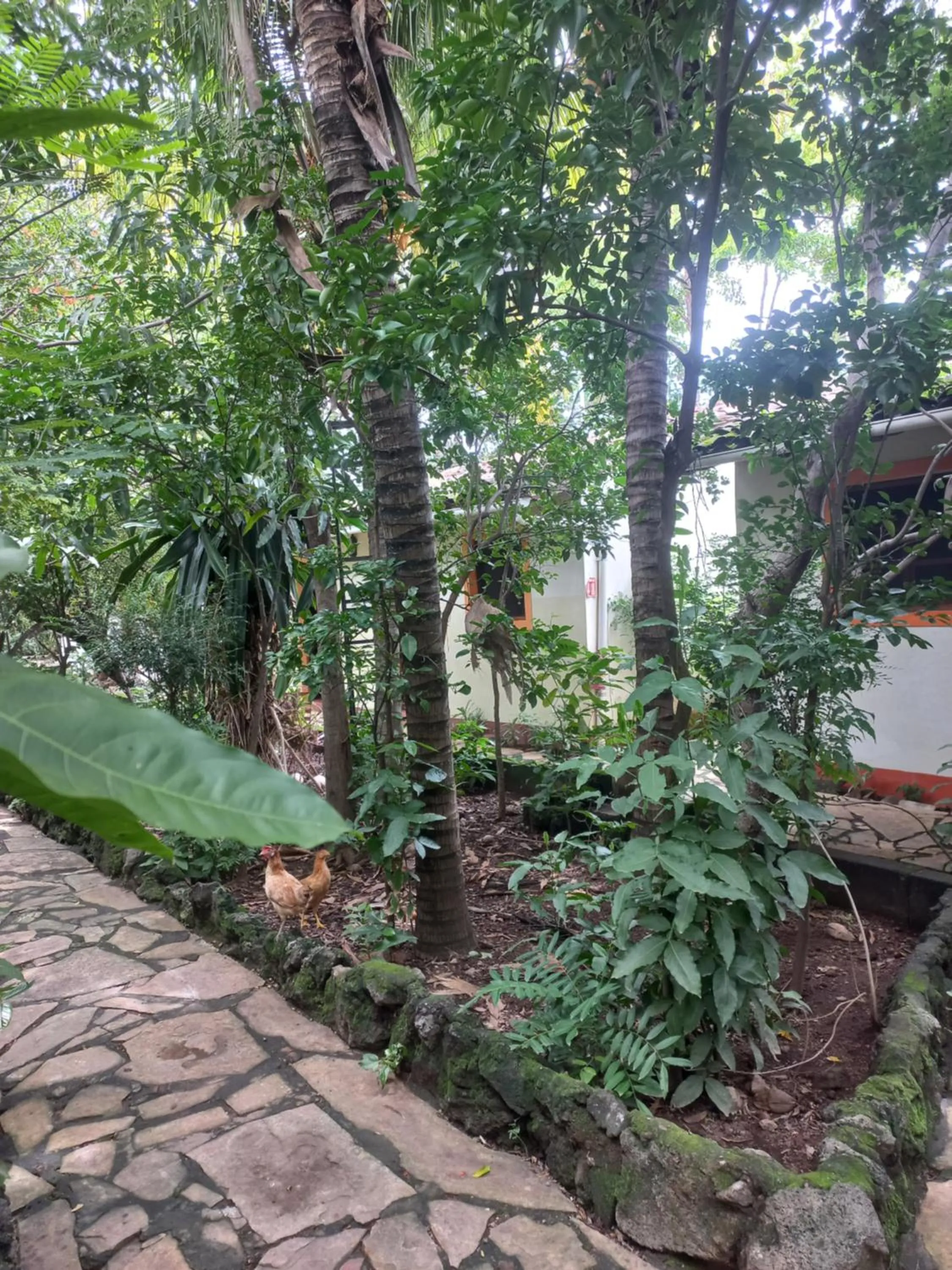 Standard Triple Room in Hotel Casa Barcelona