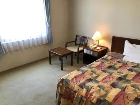 Deluxe Single Room - single occupancy - Non-Smoking in Sky Hotel