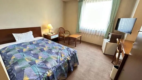 Single Room - single occupancy - Non-Smoking in Sky Hotel