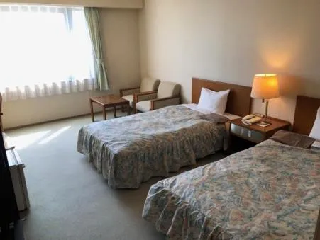 Twin Room - Non-Smoking in Sky Hotel