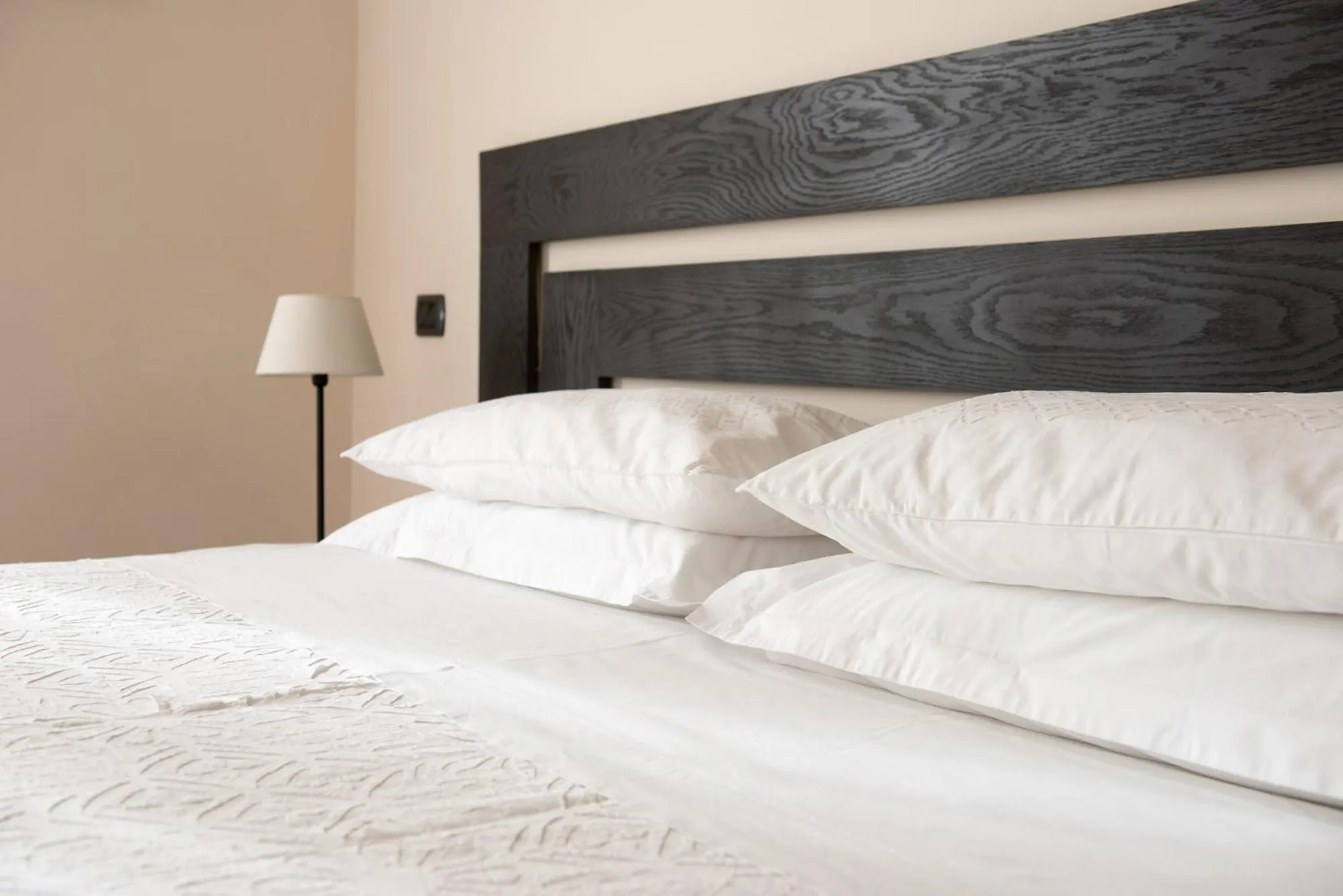 Deluxe Queen Room - single occupancy in Palm Gallery Hotel