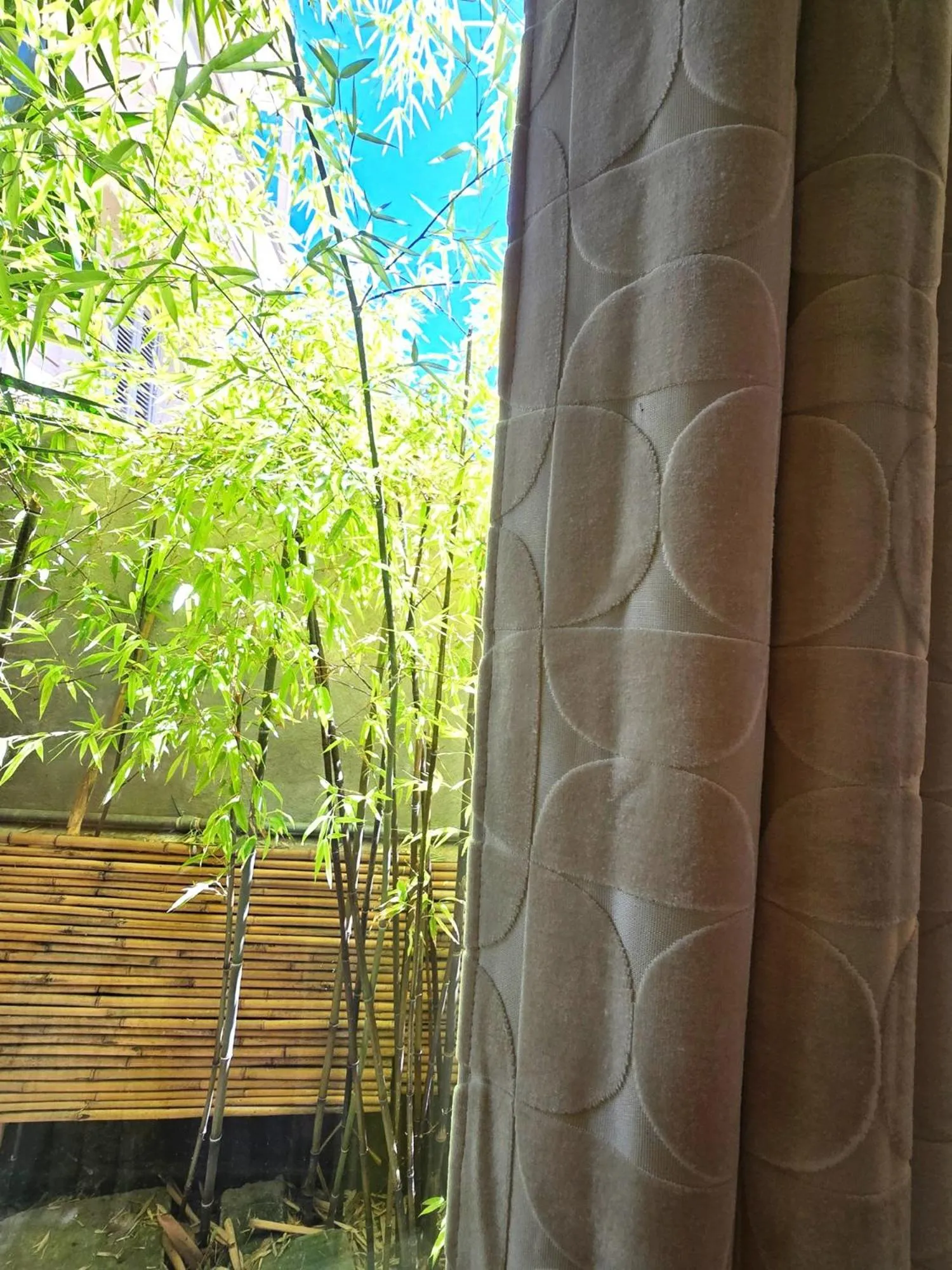 King Room with Garden View - single occupancy in Palm Gallery Hotel