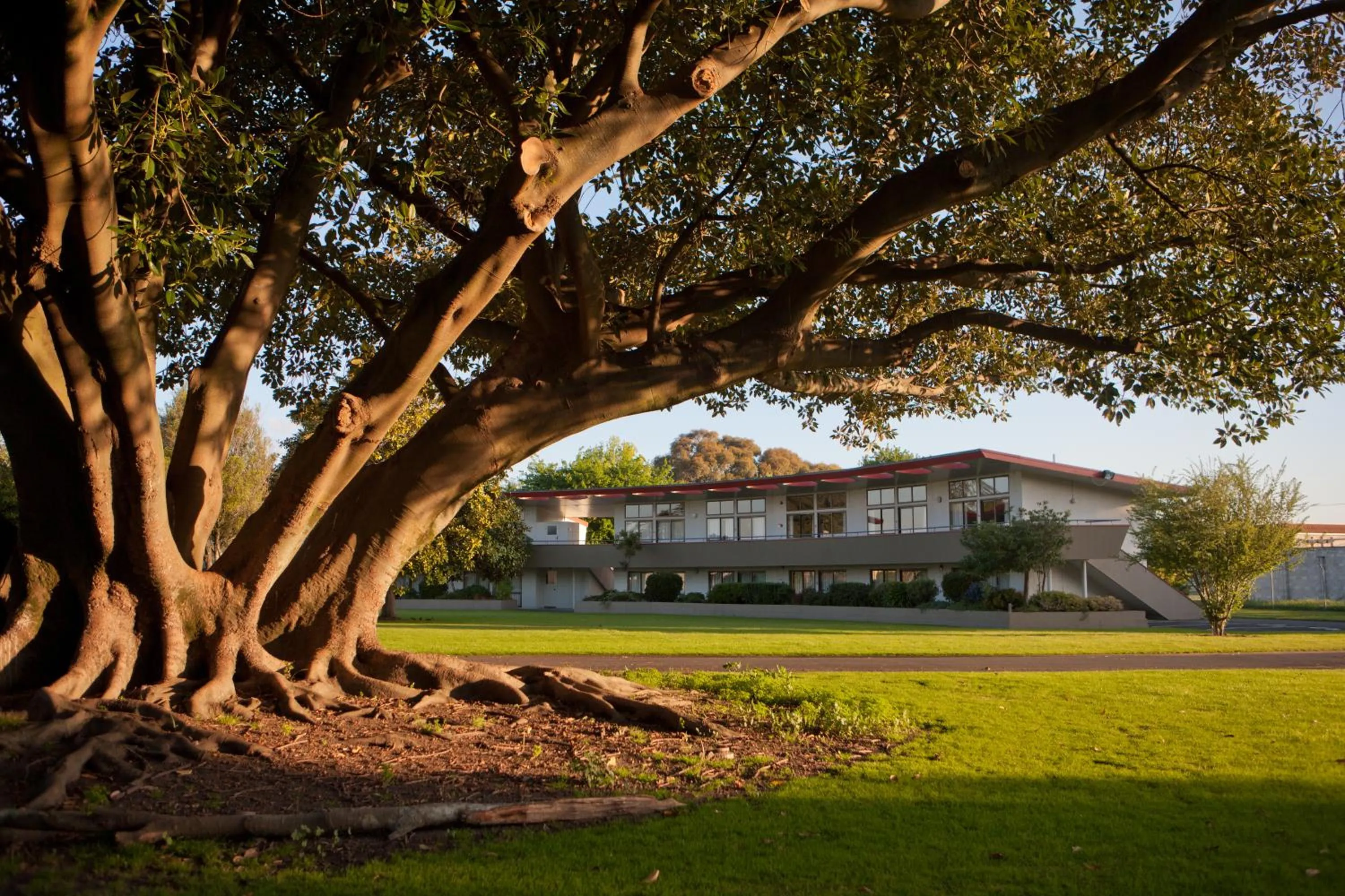 Apartment with Garden View in Kennedy Park Resort Napier