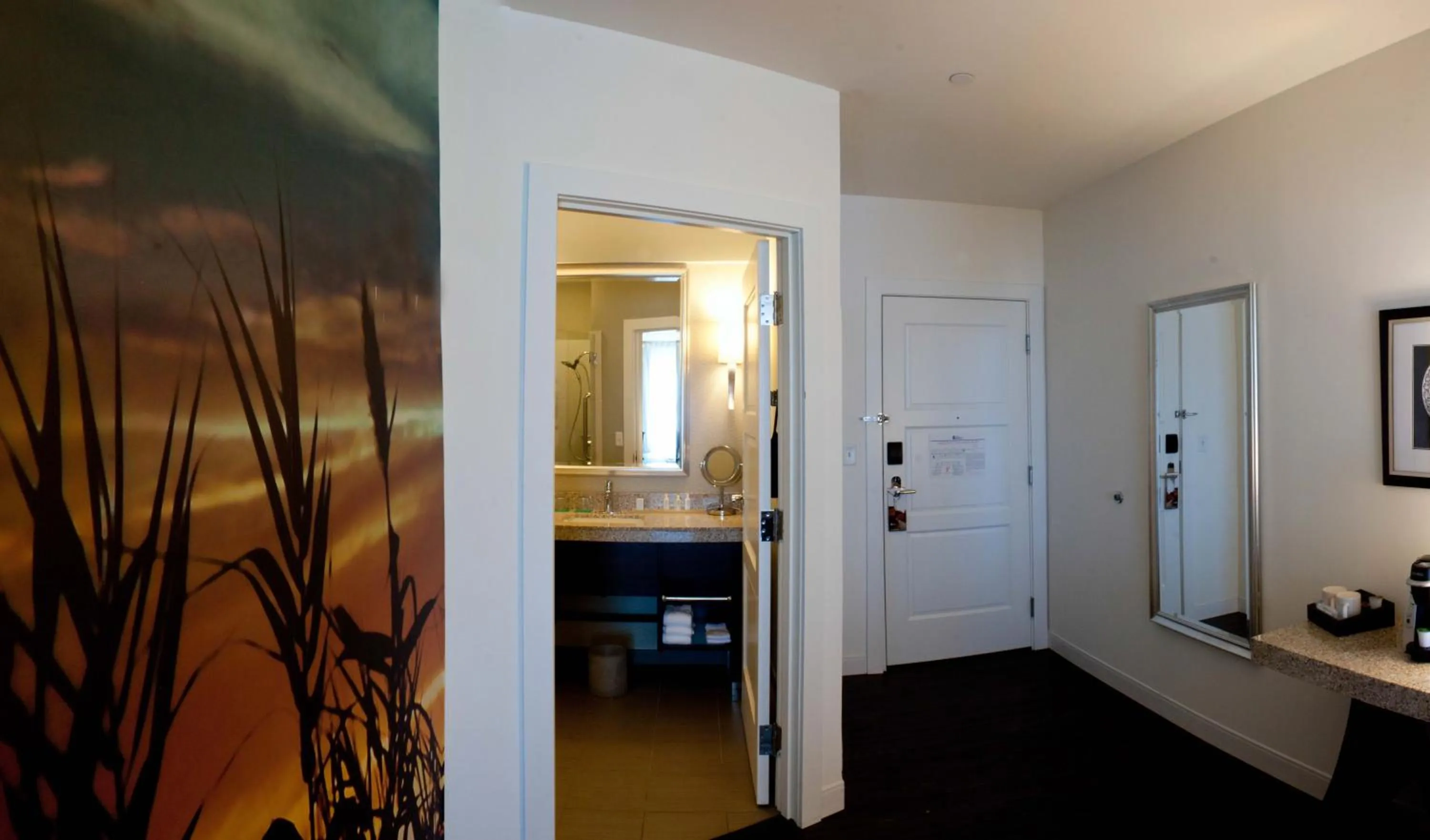 Standard King Room with Roll-in Shower - Mobility Accessible in Hotel Indigo Waco by IHG