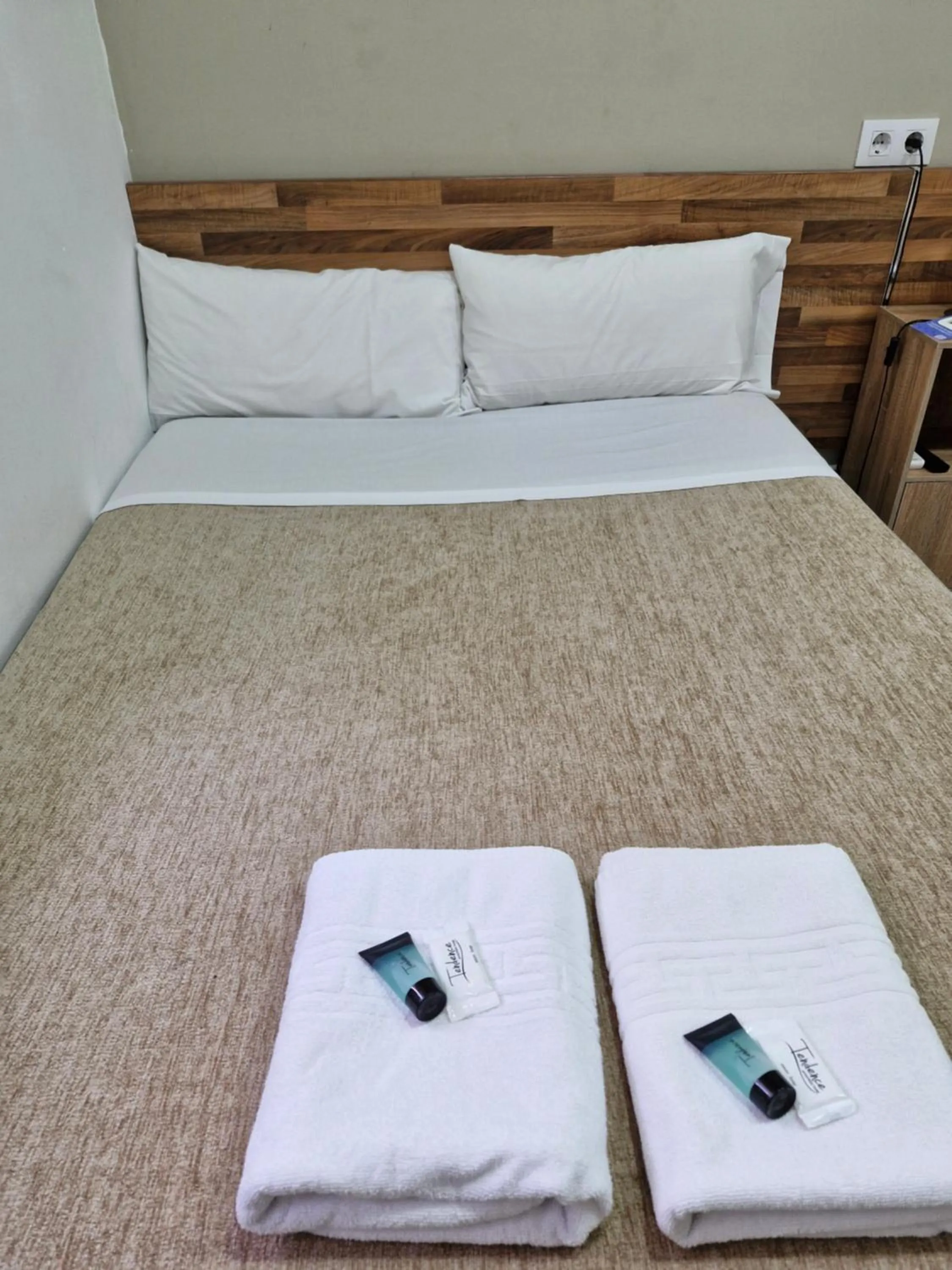 Double Room with Shared Bathroom in Hostal Elkano