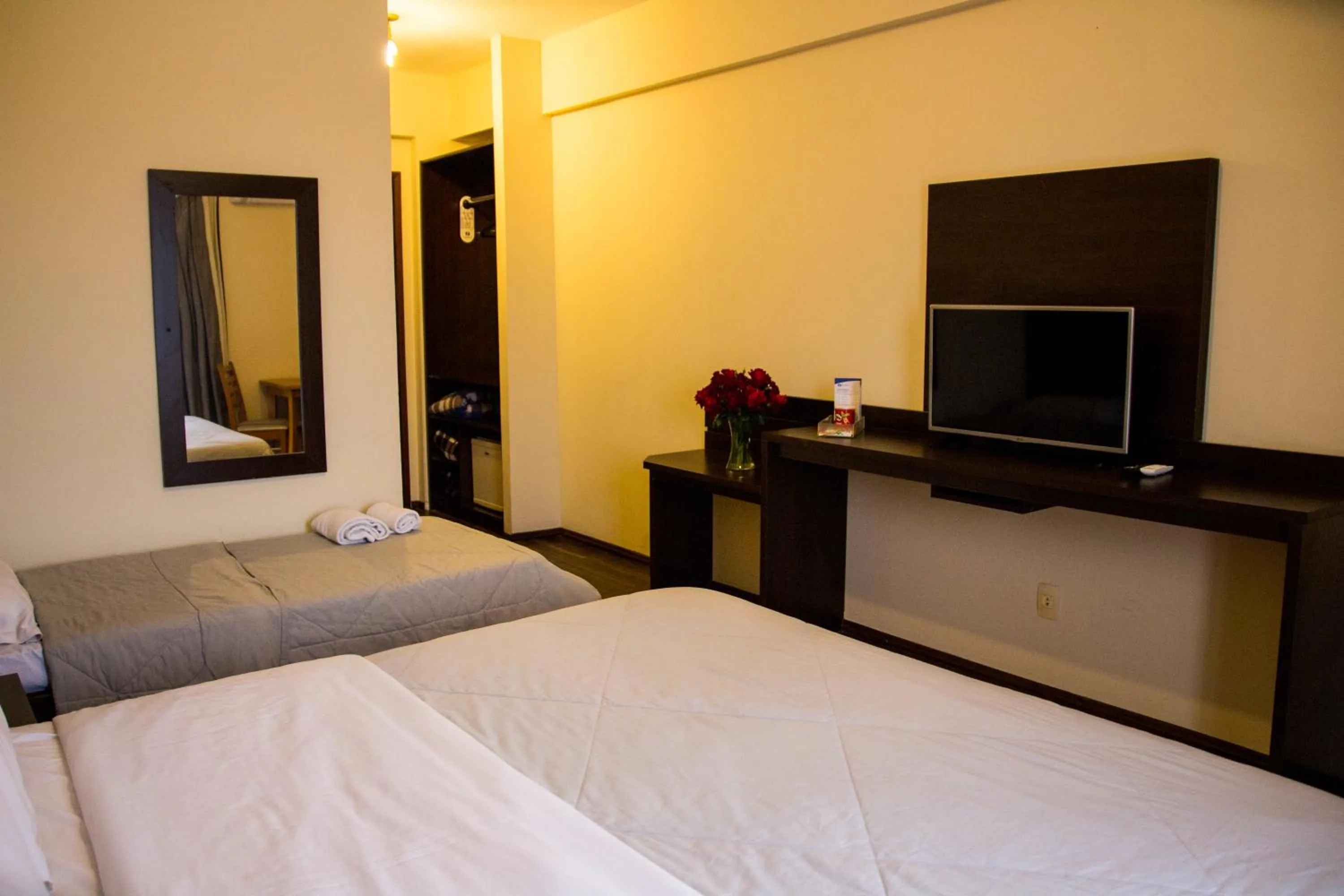 Double Room - single occupancy in Hotel Brisa Rio