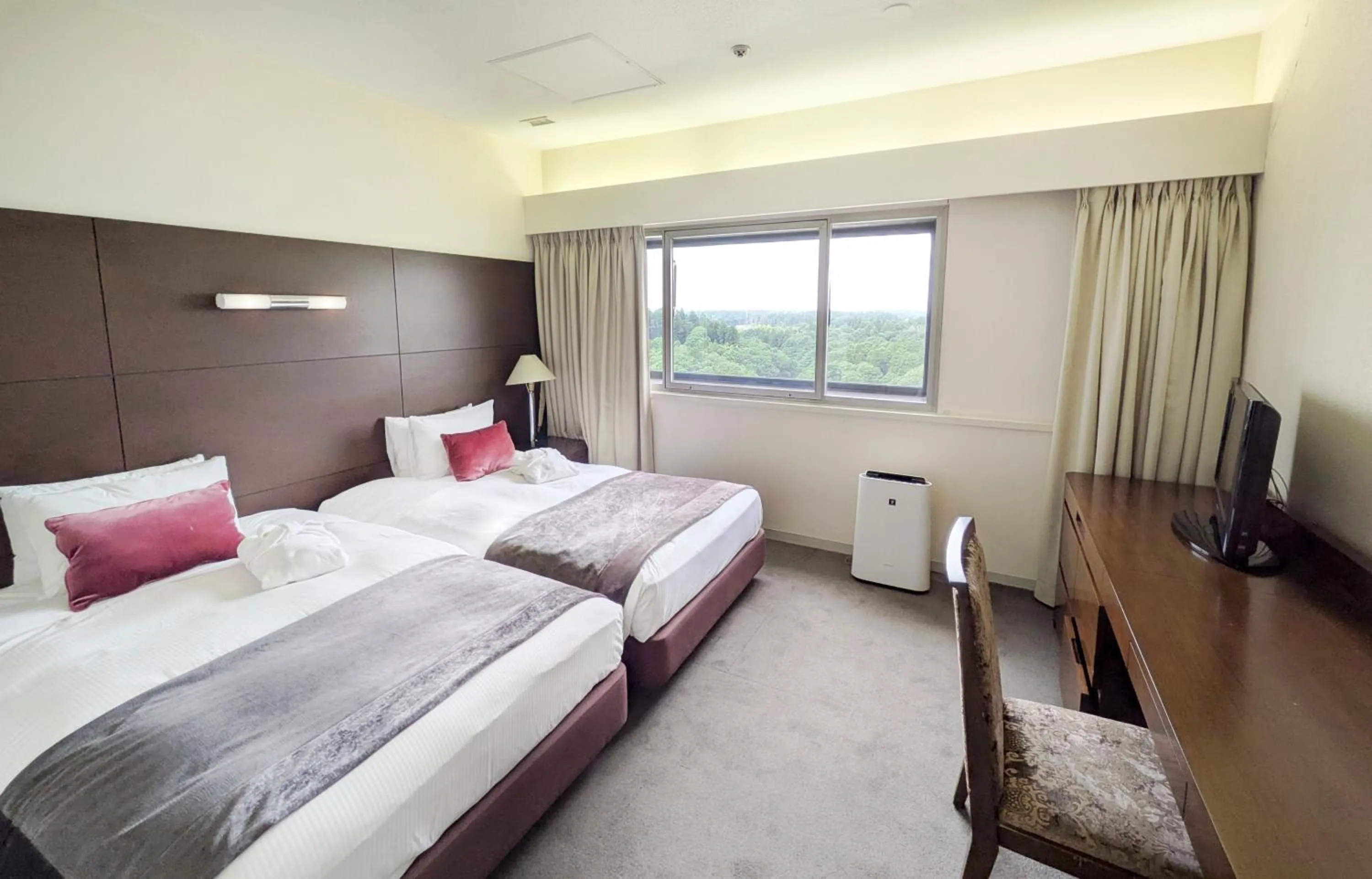 Deluxe Suite - single occupancy - Non-Smoking in Art Hotel Narita