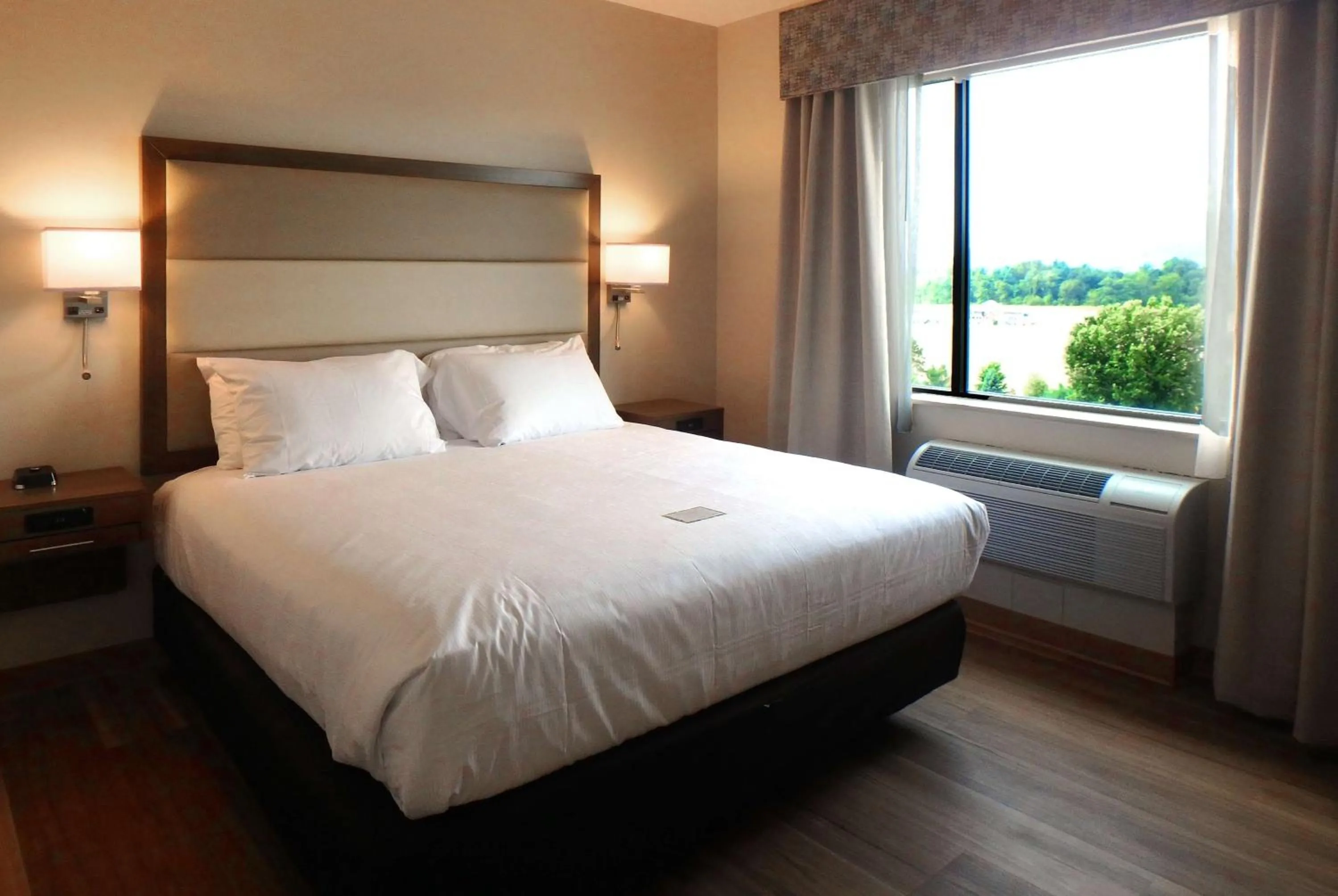 King Room - Mobility Access/Non-Smoking in Wyndham Garden State College