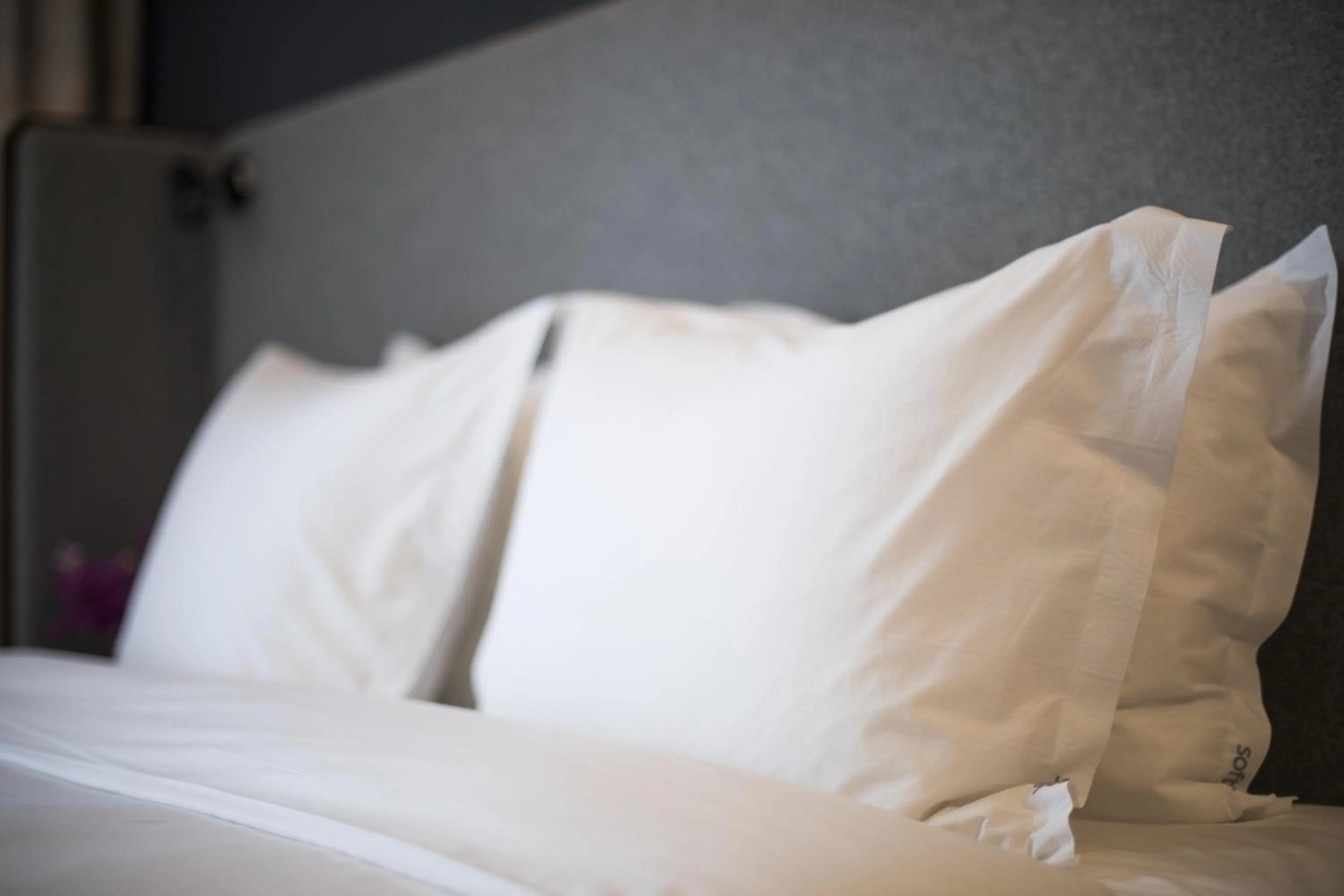 High Floor Standard Twin Room in Holiday Inn Express Zhangjiagang East by IHG