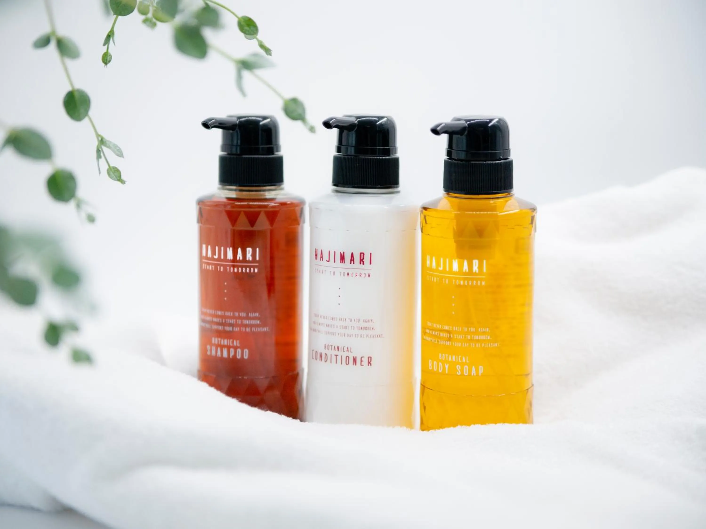 Premium Sky Twin Room - Non-Smoking in Agora Place Tokyo Asakusa