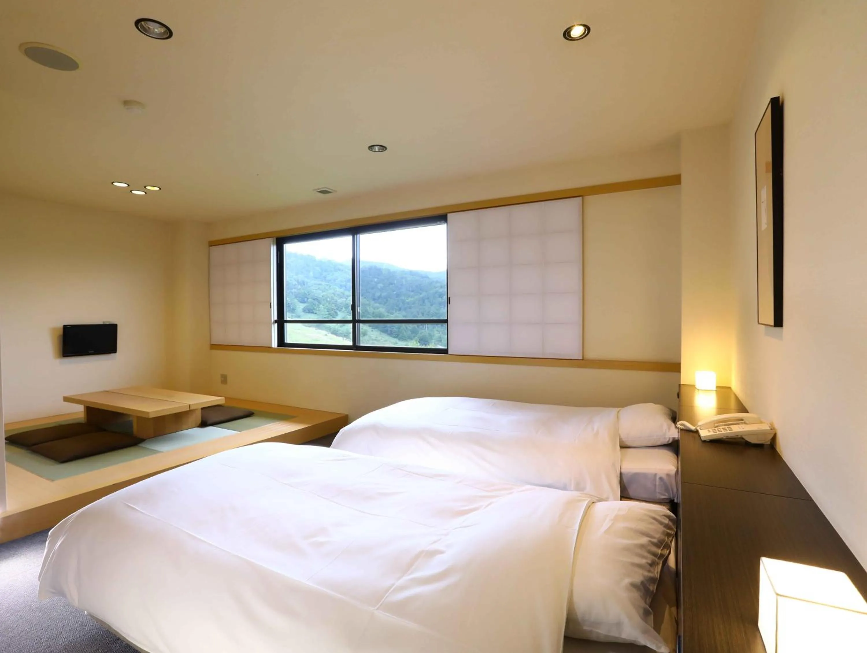 Twin Room with Shower in Manza Onsen Nisshinkan