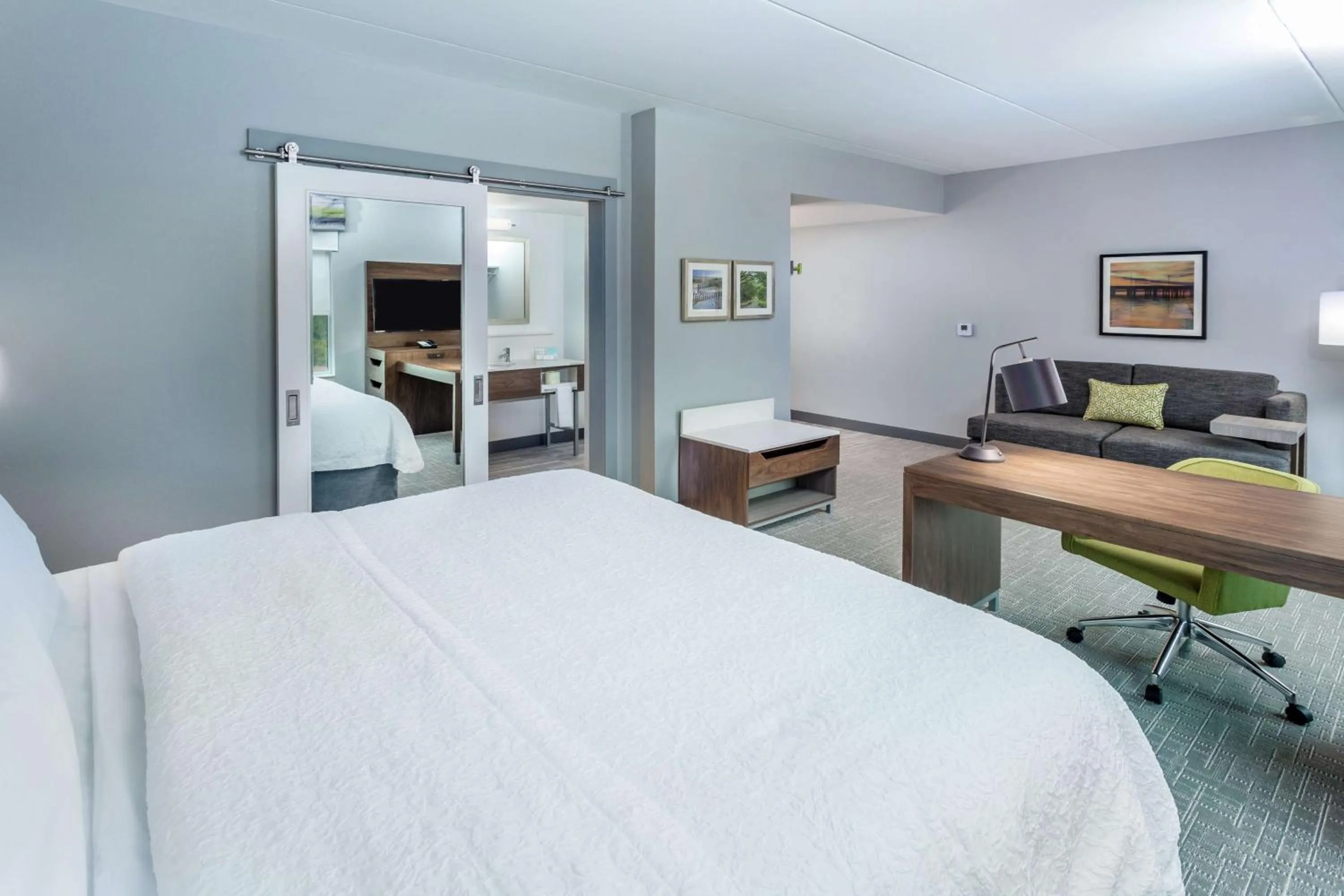 King Studio Suite - Hearing Access in Hampton Inn & Suites Saraland Mobile