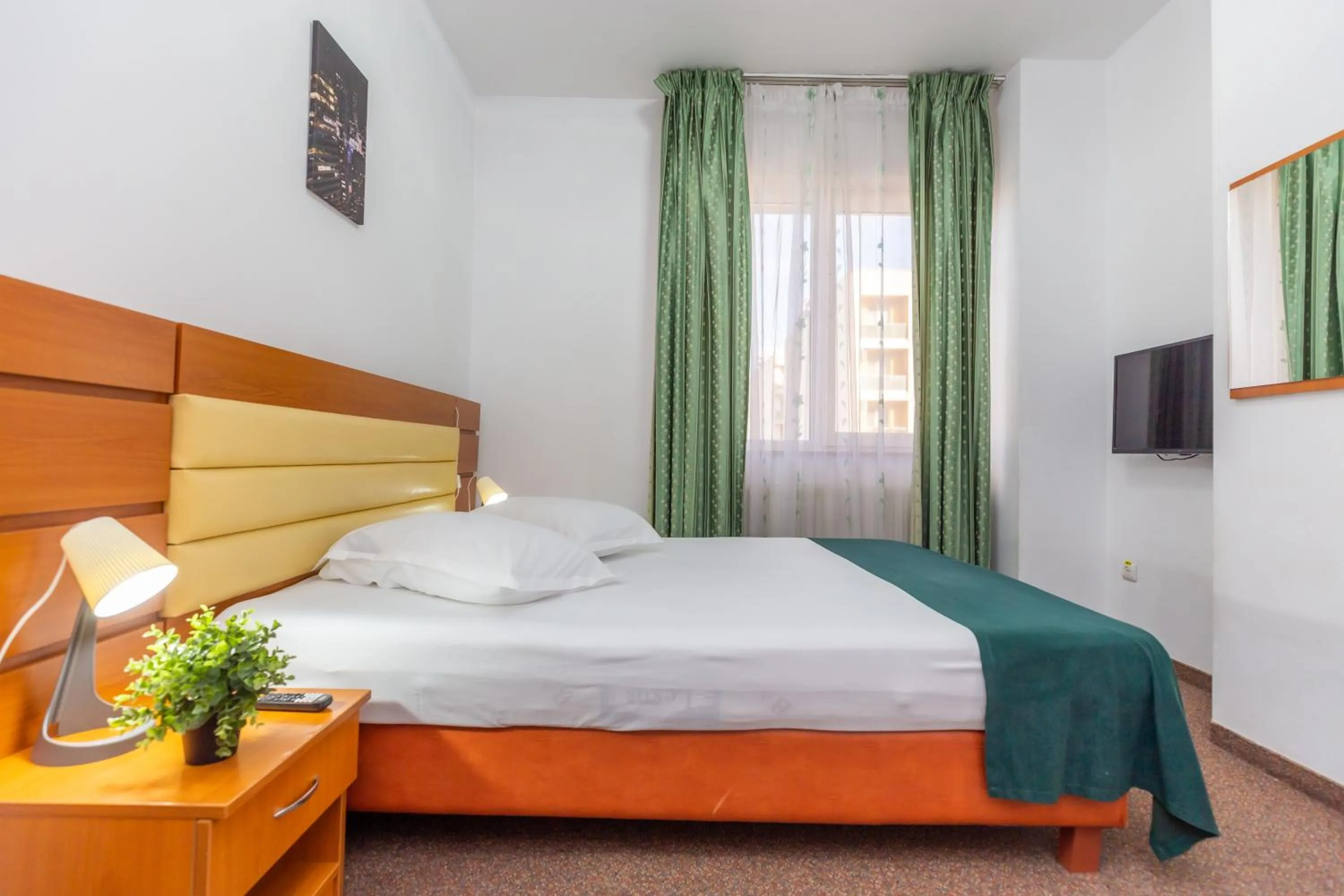 Double Room in Hotel Sir Colentina