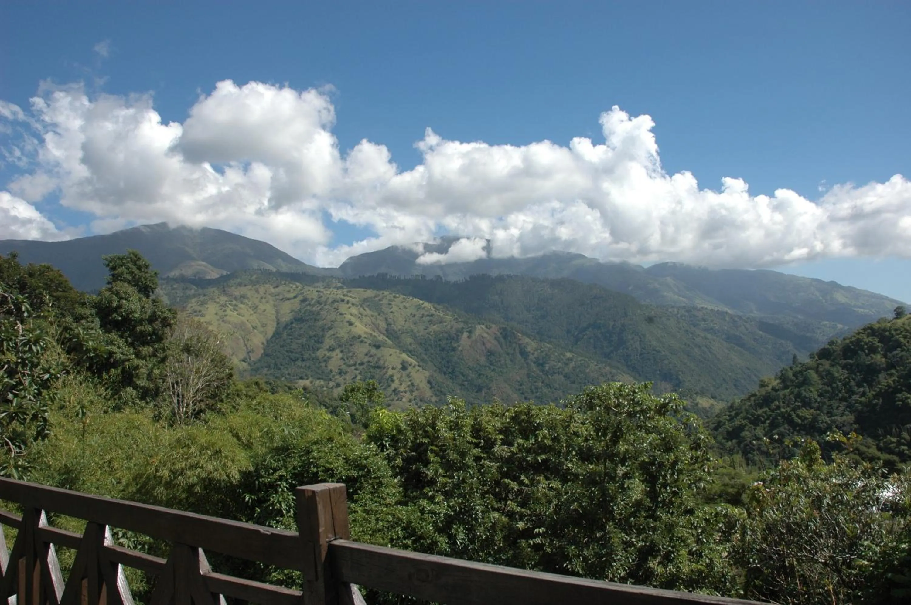 Standard  Room in Forres Park Nature Retreat