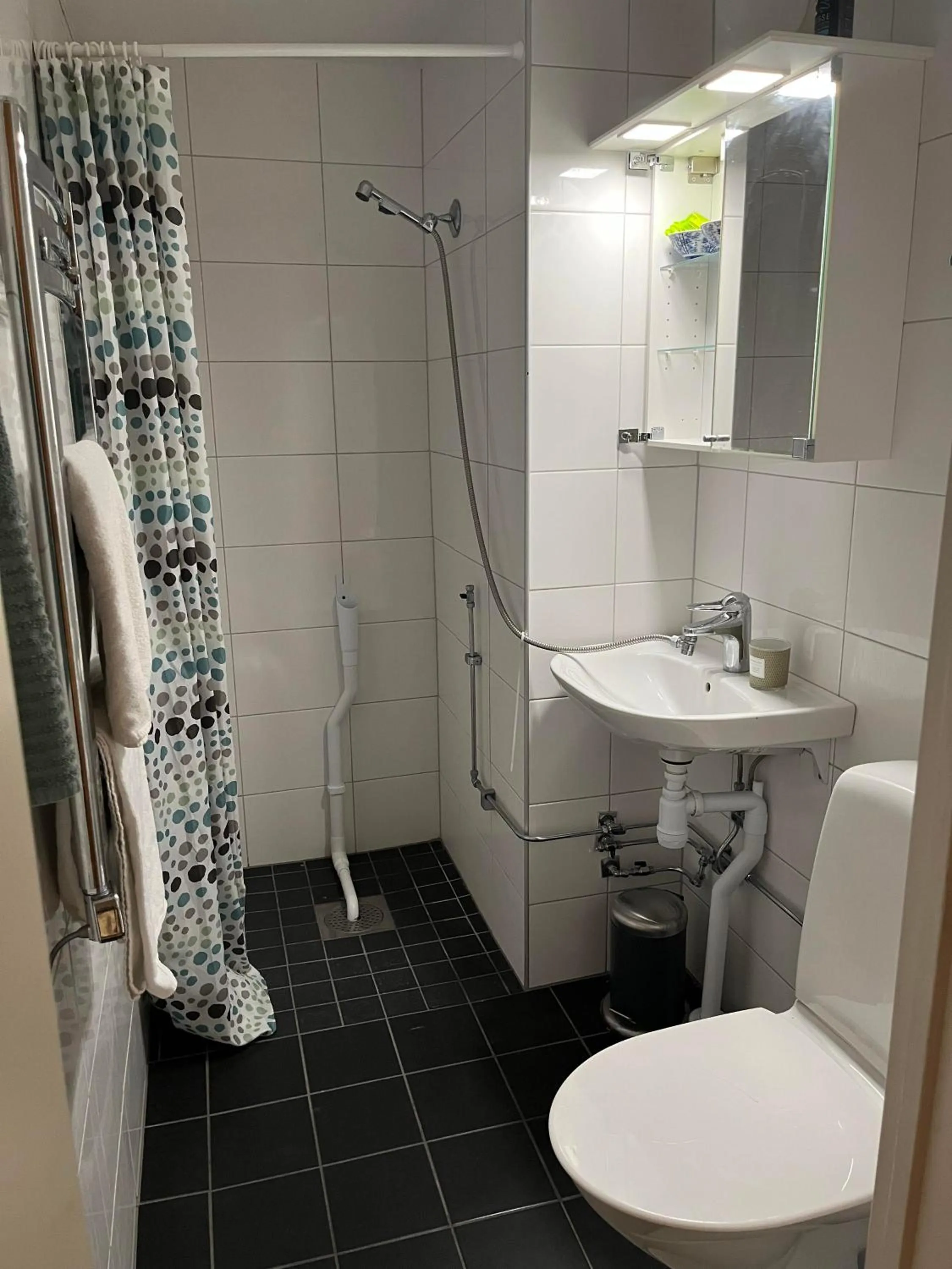 Apartment with Shower in Rut & Ragnars Vandrarhem